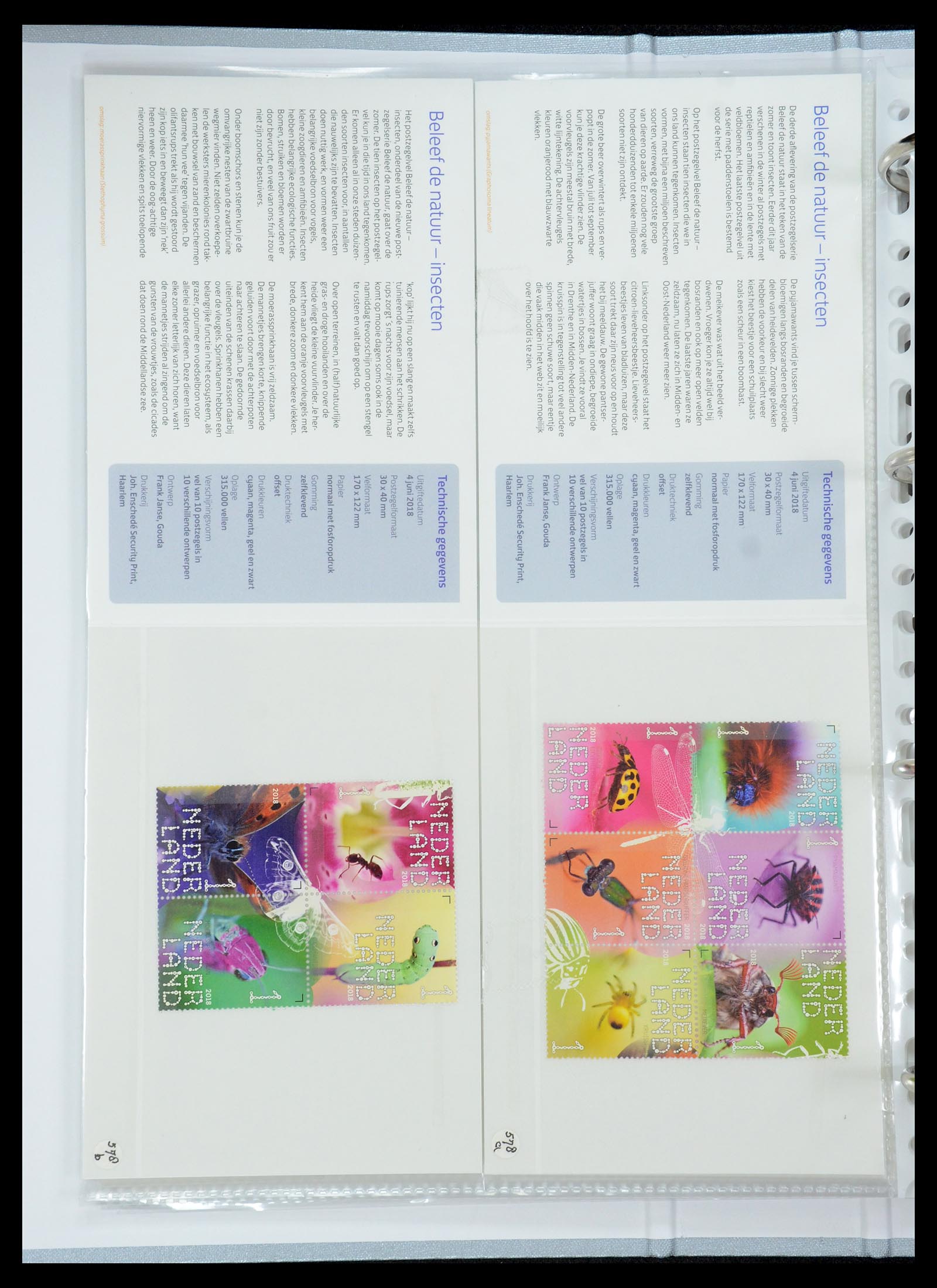 35692 350 - Stamp Collection 35692 Netherlands presentation packs 1982-2021!!