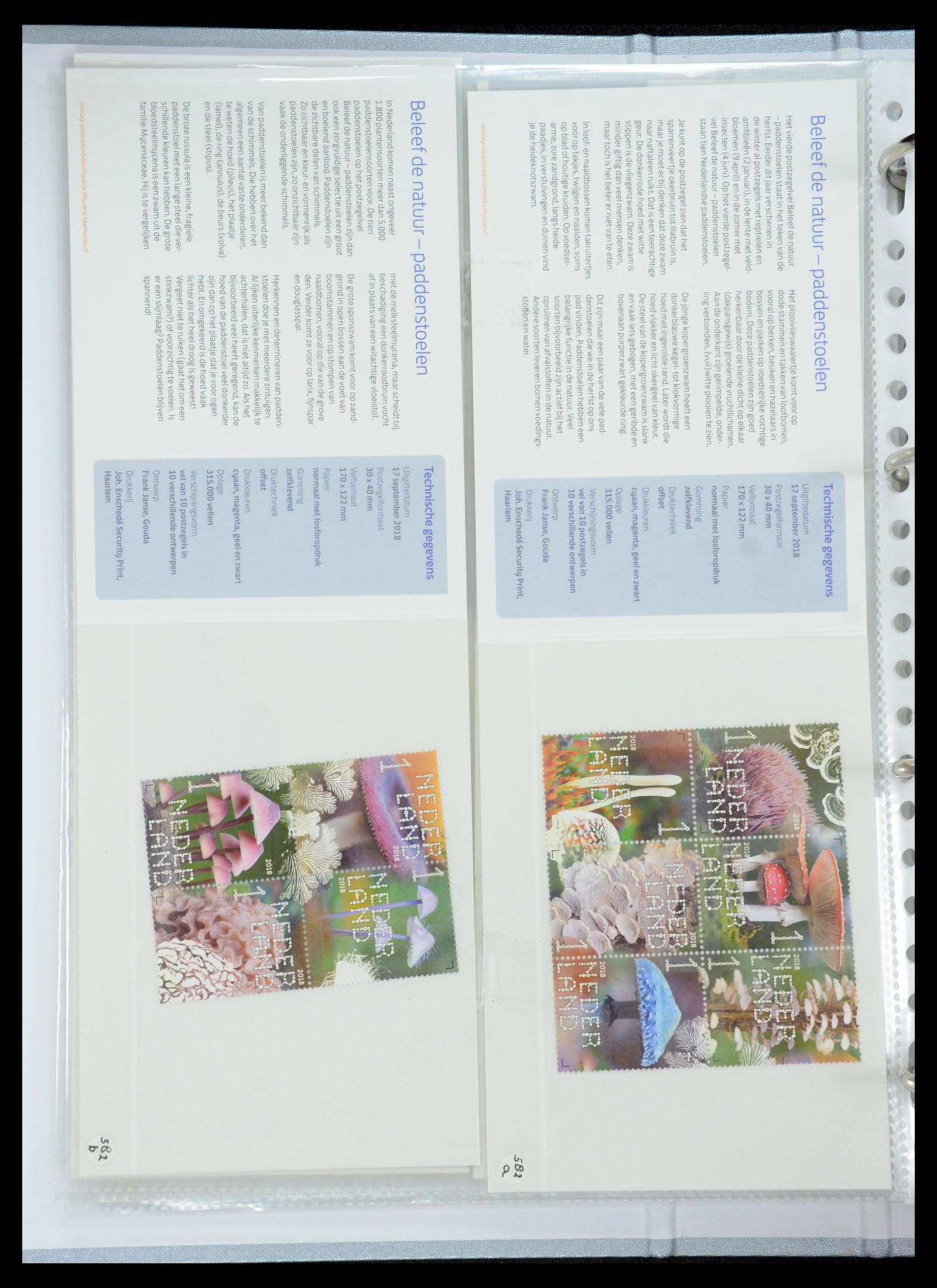 35692 353 - Stamp Collection 35692 Netherlands presentation packs 1982-2021!!