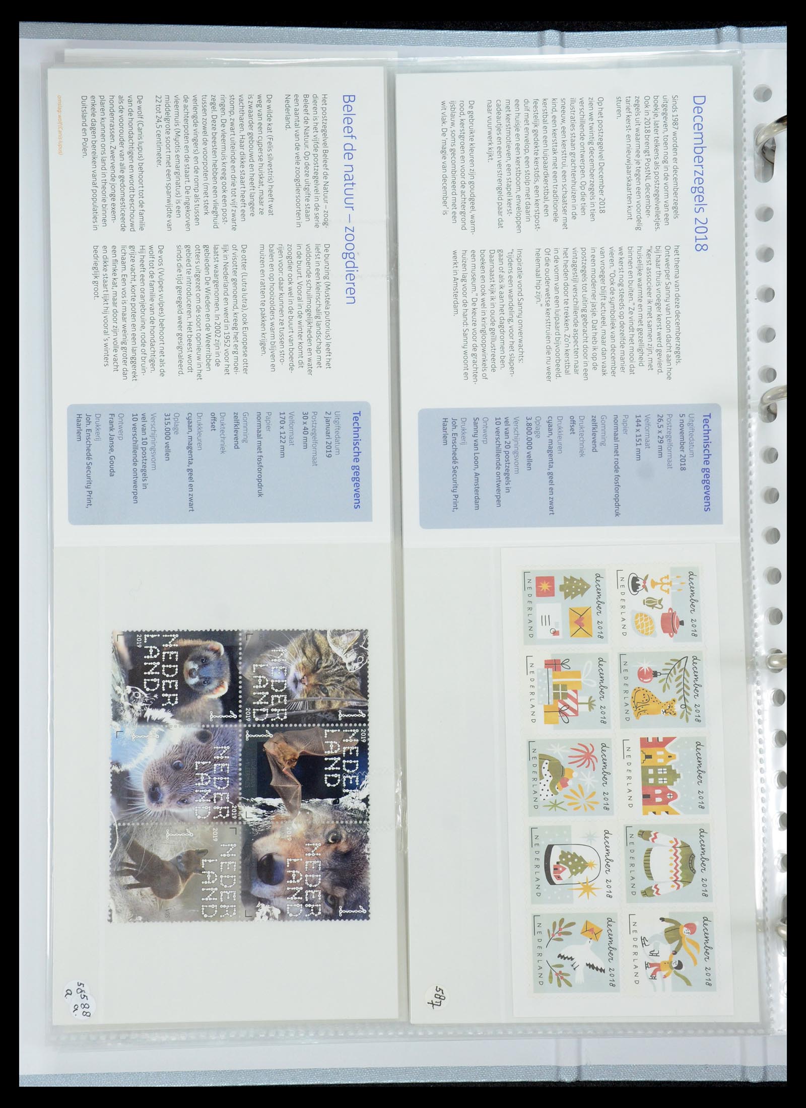 35692 356 - Stamp Collection 35692 Netherlands presentation packs 1982-2021!!