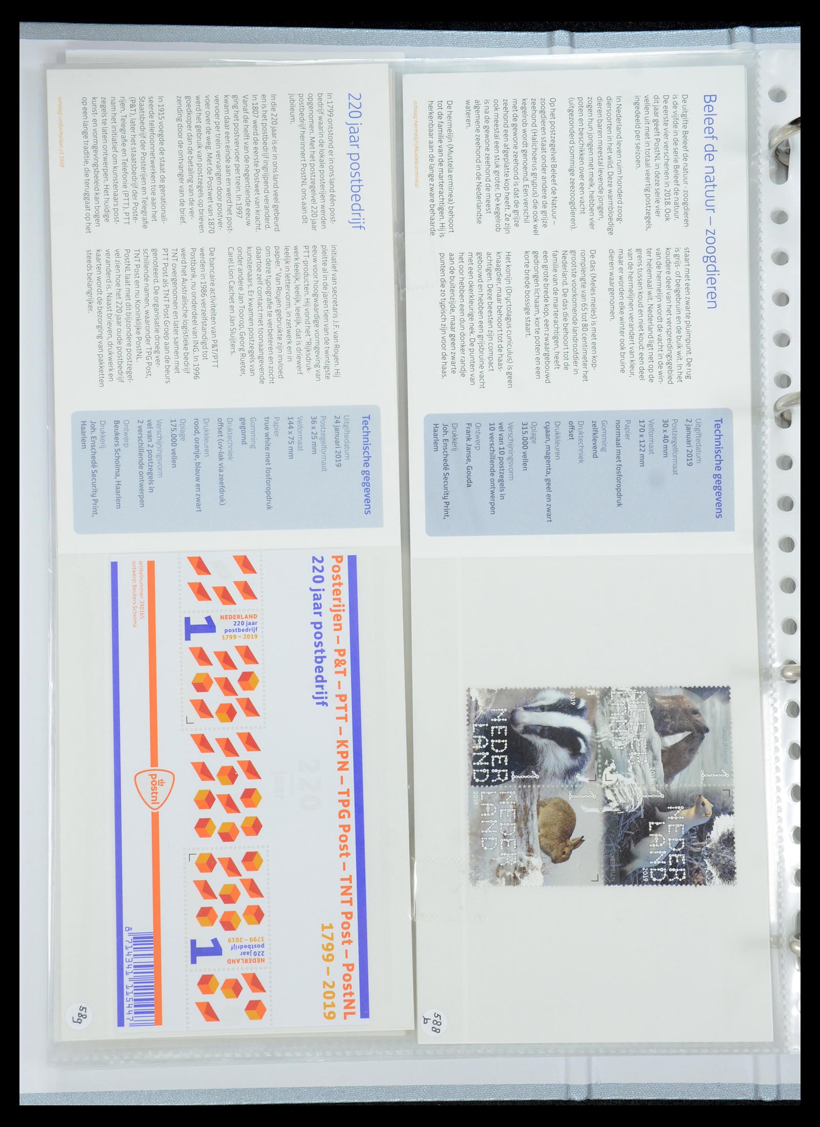 35692 357 - Stamp Collection 35692 Netherlands presentation packs 1982-2021!!