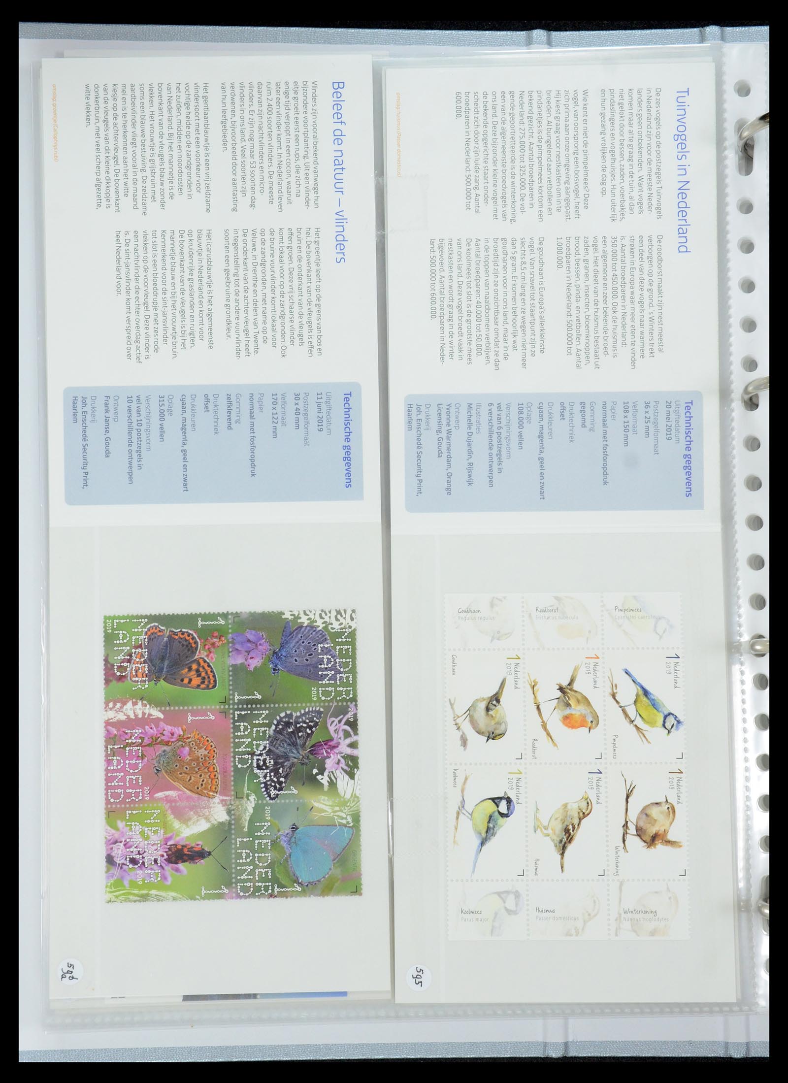 35692 361 - Stamp Collection 35692 Netherlands presentation packs 1982-2021!!
