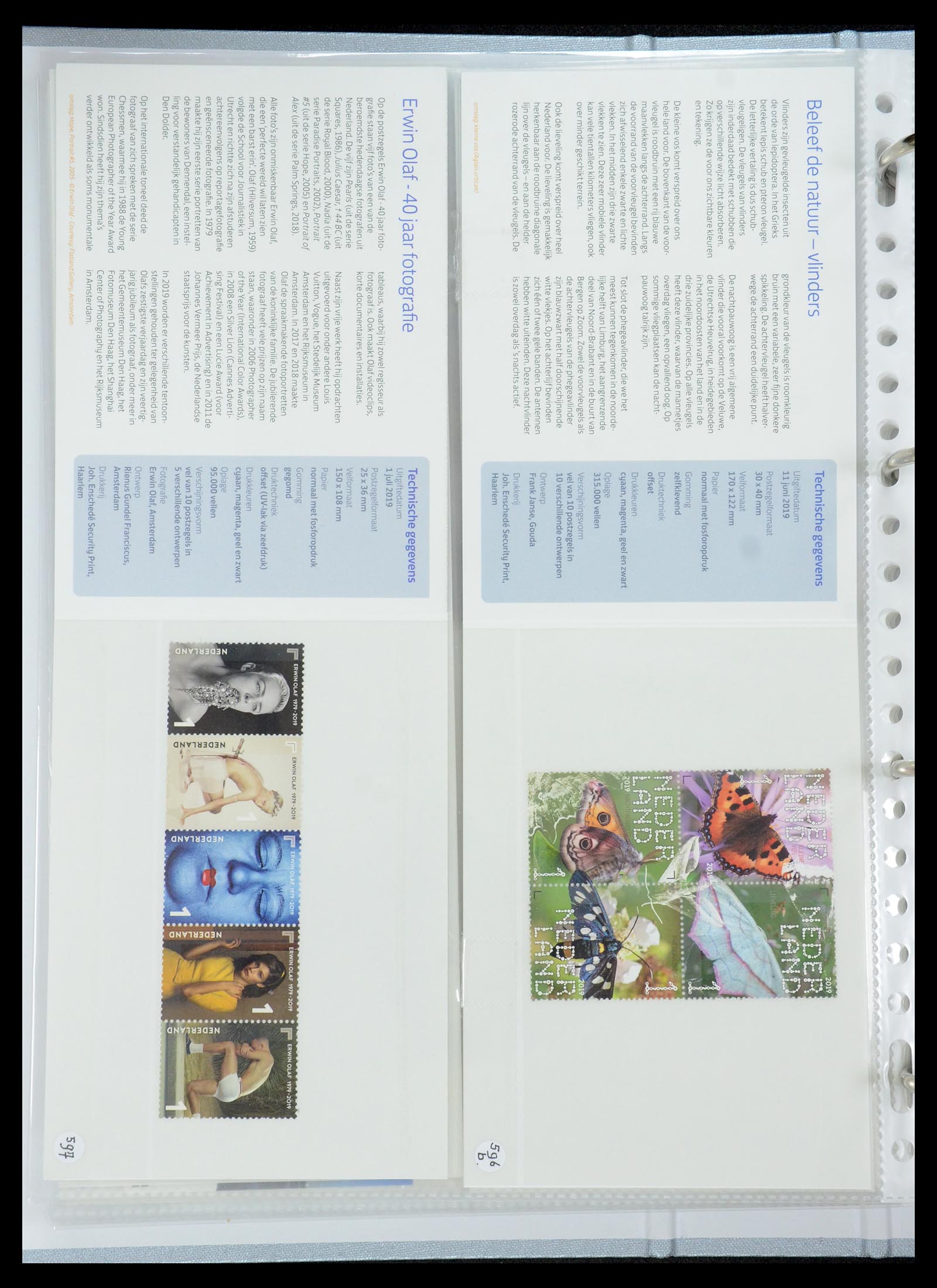 35692 362 - Stamp Collection 35692 Netherlands presentation packs 1982-2021!!