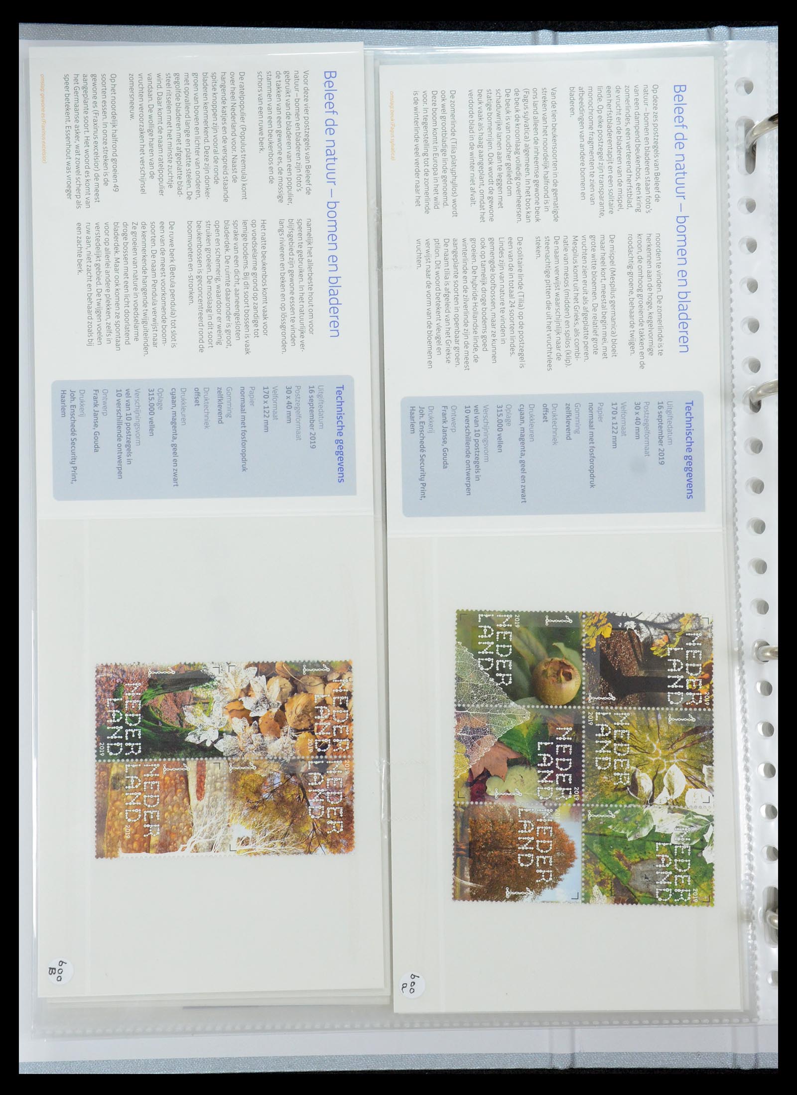 35692 364 - Stamp Collection 35692 Netherlands presentation packs 1982-2021!!