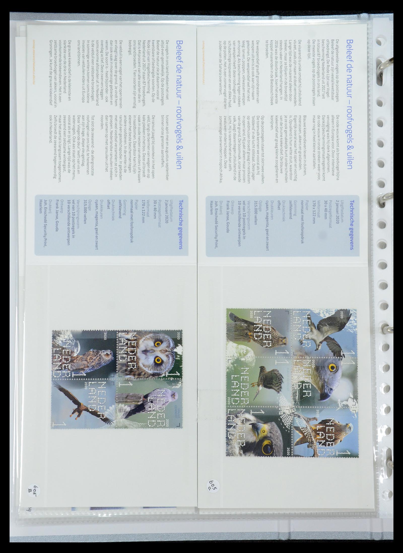 35692 367 - Stamp Collection 35692 Netherlands presentation packs 1982-2021!!