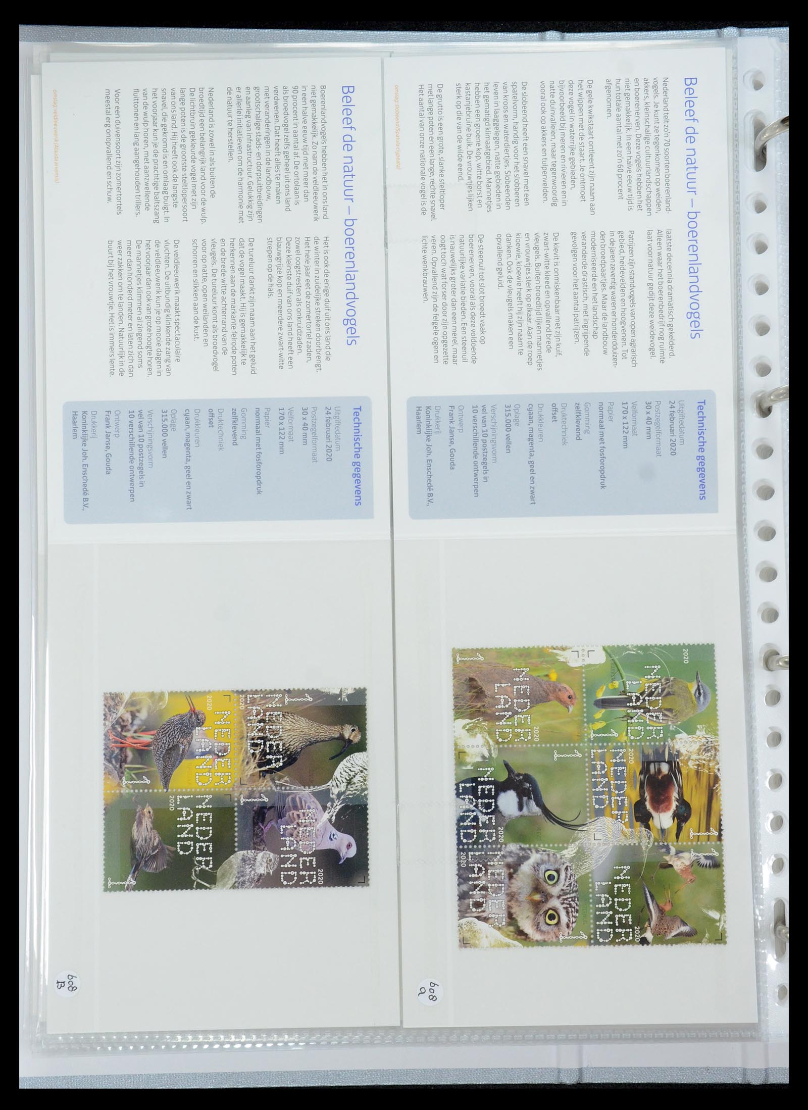 35692 369 - Stamp Collection 35692 Netherlands presentation packs 1982-2021!!