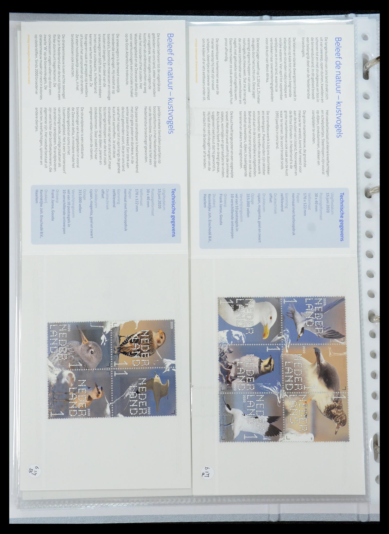 35692 374 - Stamp Collection 35692 Netherlands presentation packs 1982-2021!!