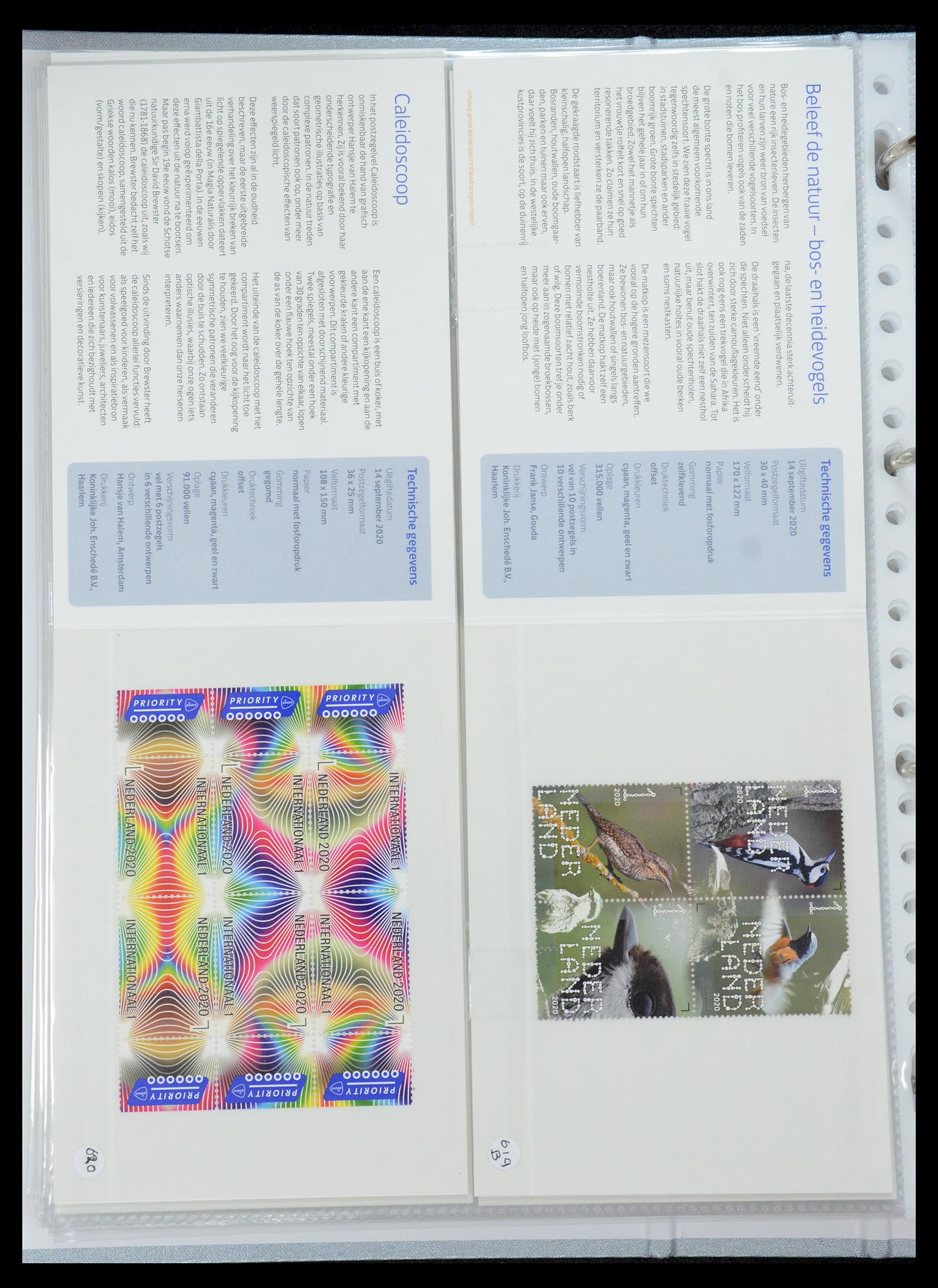 35692 376 - Stamp Collection 35692 Netherlands presentation packs 1982-2021!!