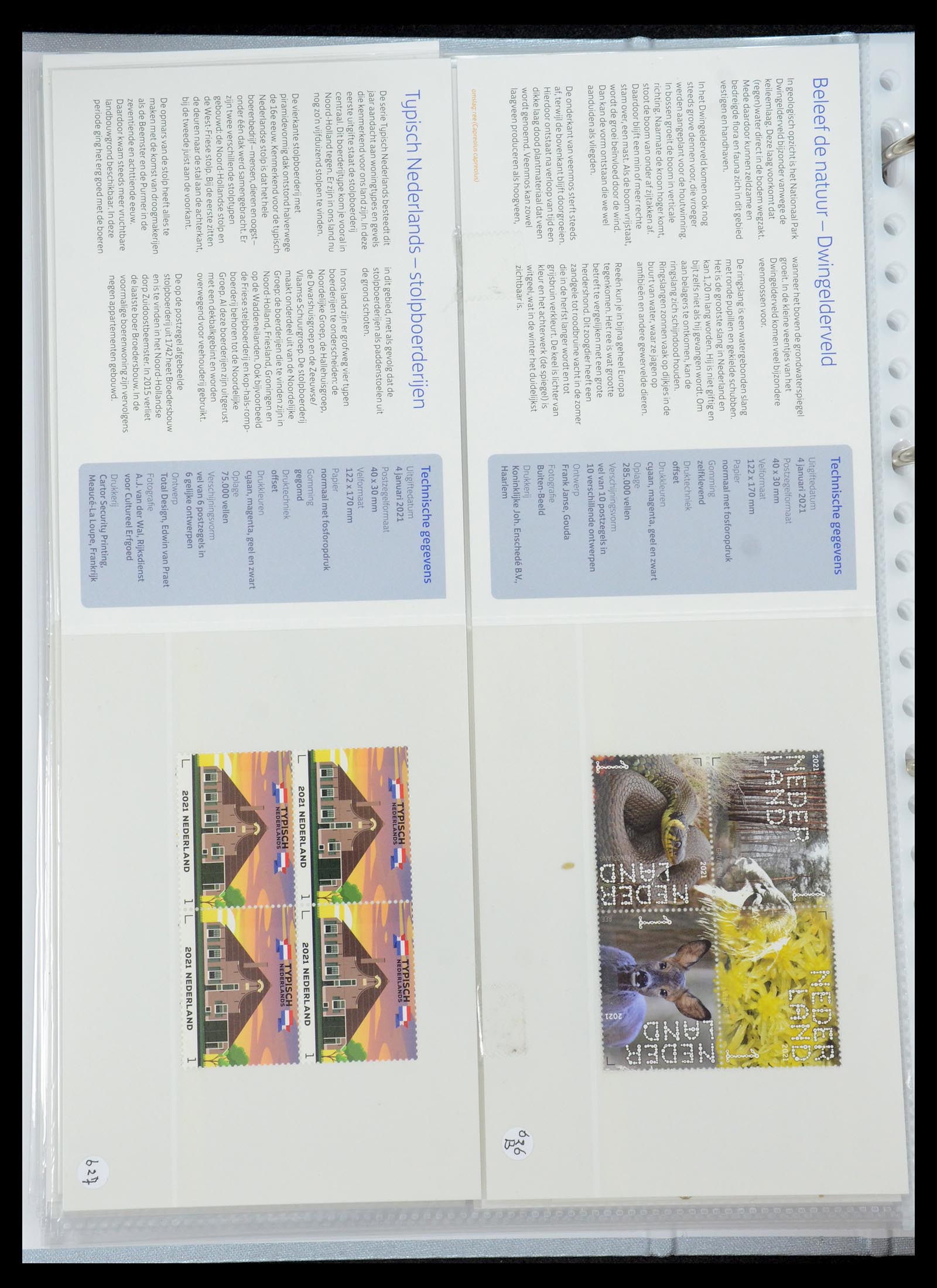 35692 380 - Stamp Collection 35692 Netherlands presentation packs 1982-2021!!