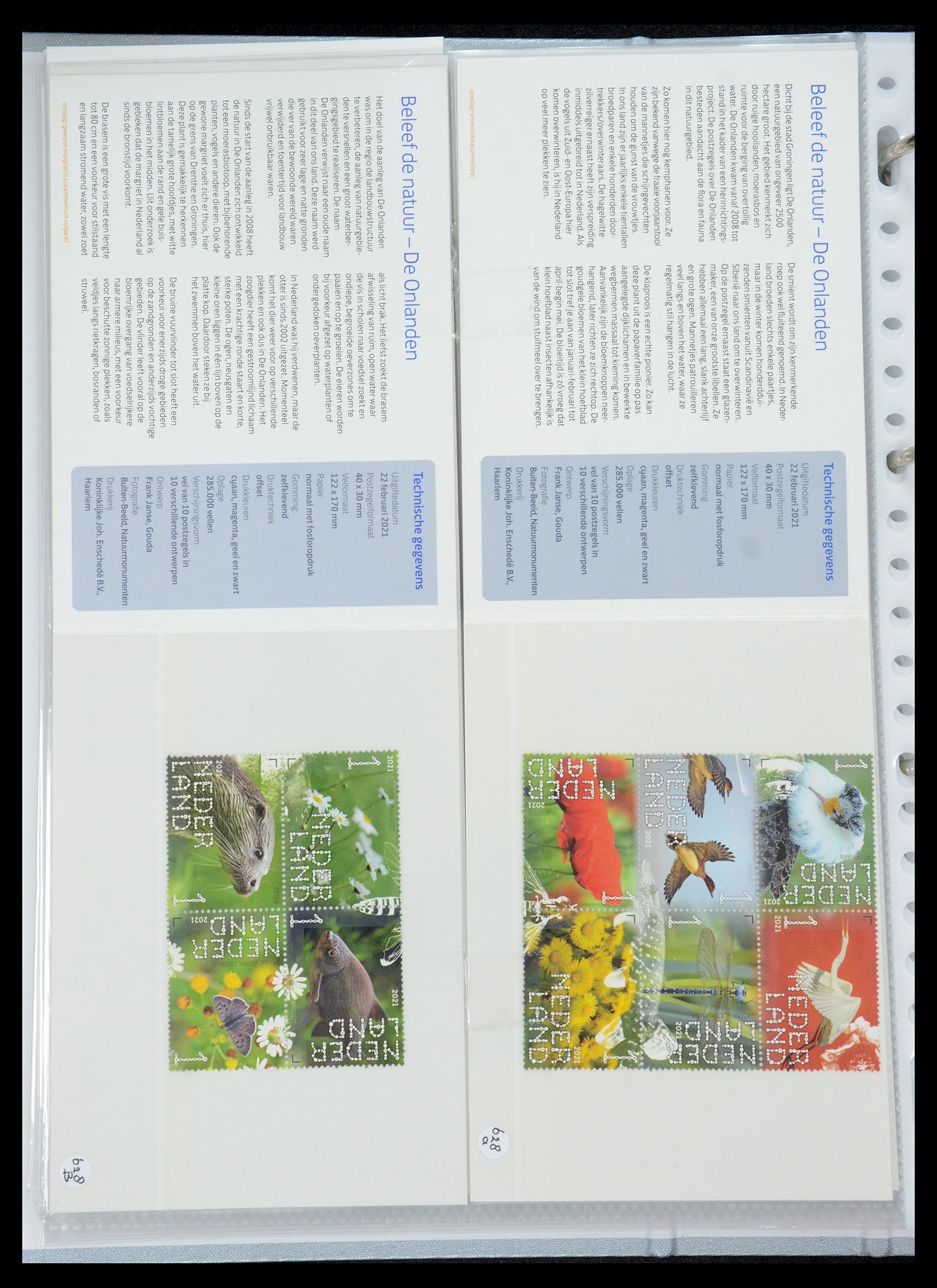 35692 381 - Stamp Collection 35692 Netherlands presentation packs 1982-2021!!