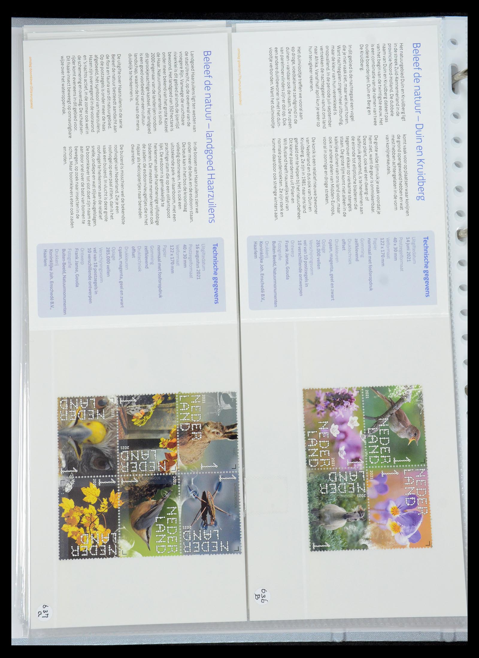 35692 386 - Stamp Collection 35692 Netherlands presentation packs 1982-2021!!