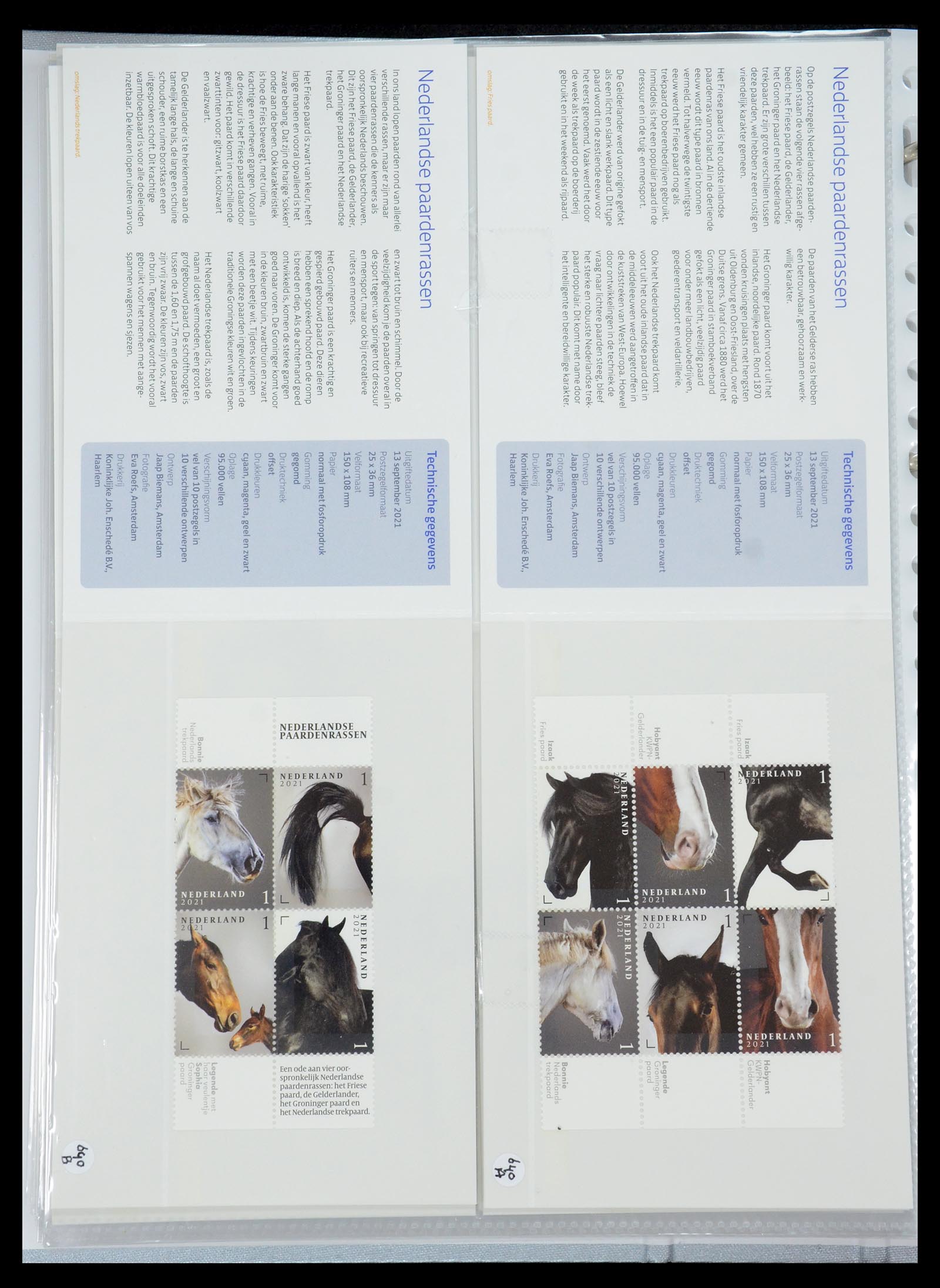 35692 389 - Stamp Collection 35692 Netherlands presentation packs 1982-2021!!