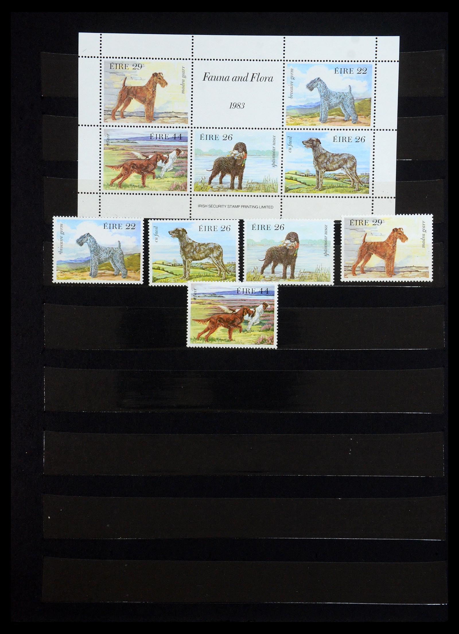 35695 053 - Postzegelverzameling 35695 Ierland 1922-2020!!!