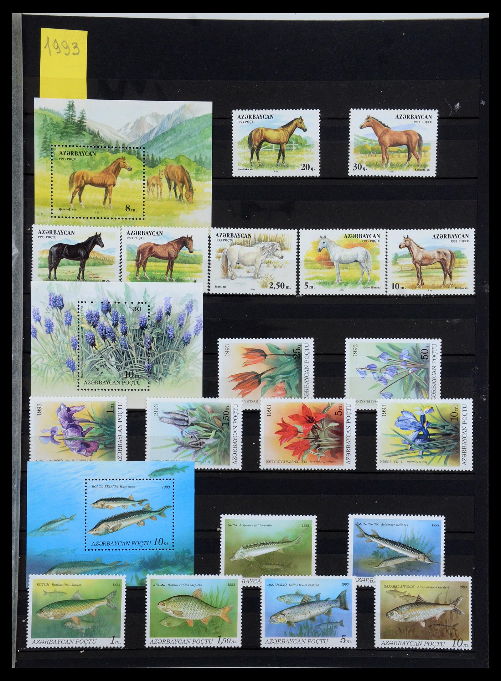35702 003 - Postzegelverzameling 35702 Oost Europa 1990-2006.