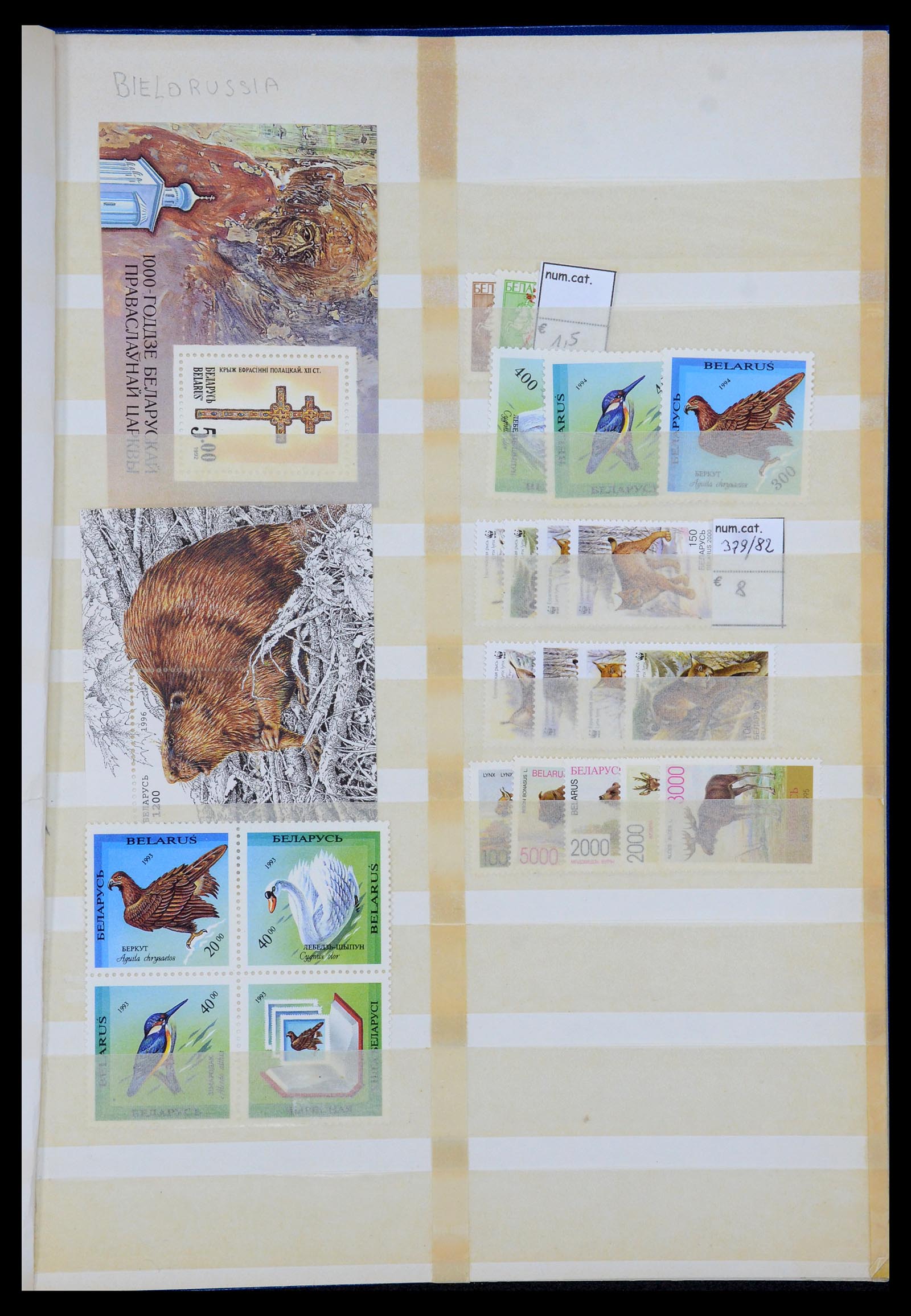 35702 019 - Postzegelverzameling 35702 Oost Europa 1990-2006.