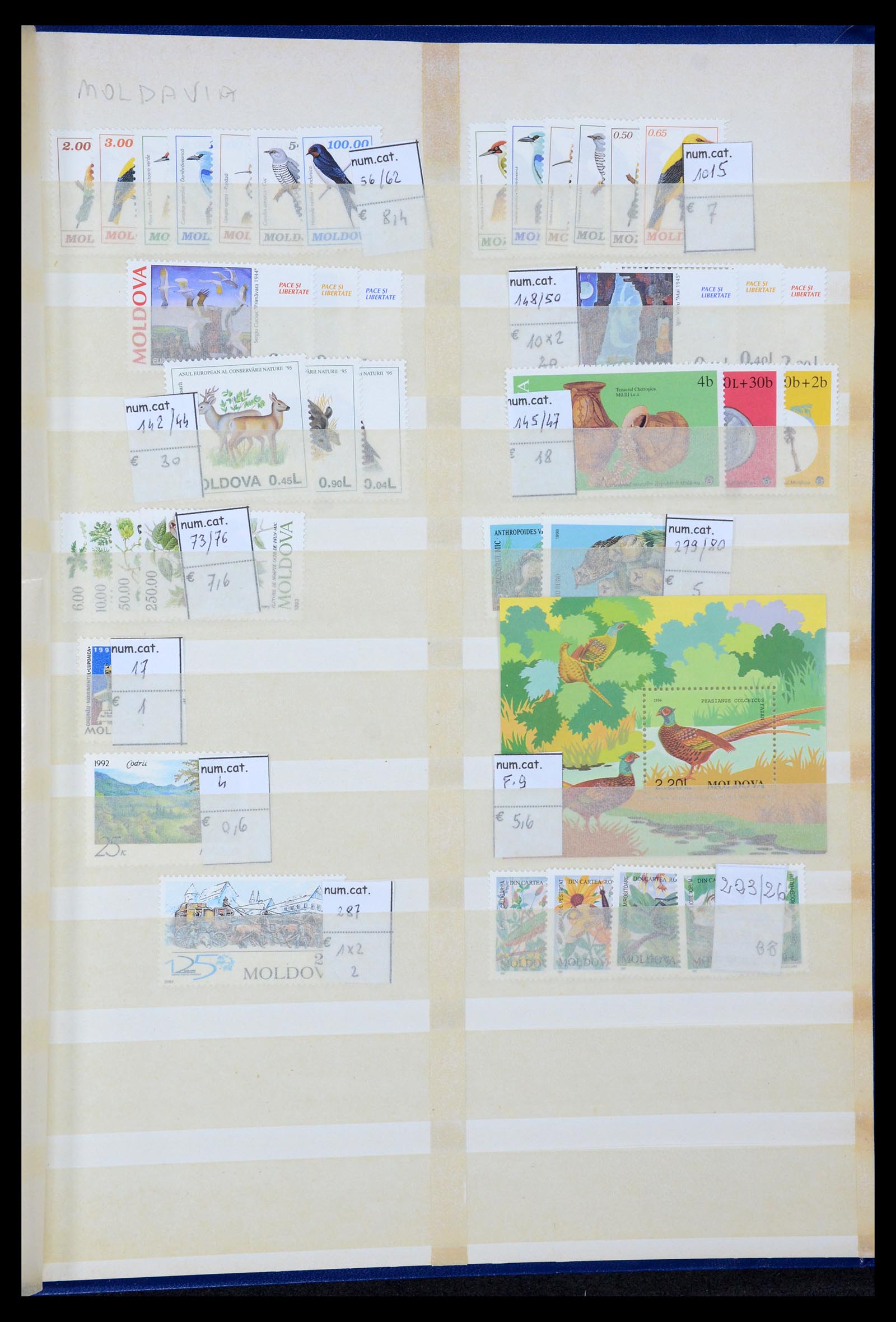 35702 034 - Postzegelverzameling 35702 Oost Europa 1990-2006.