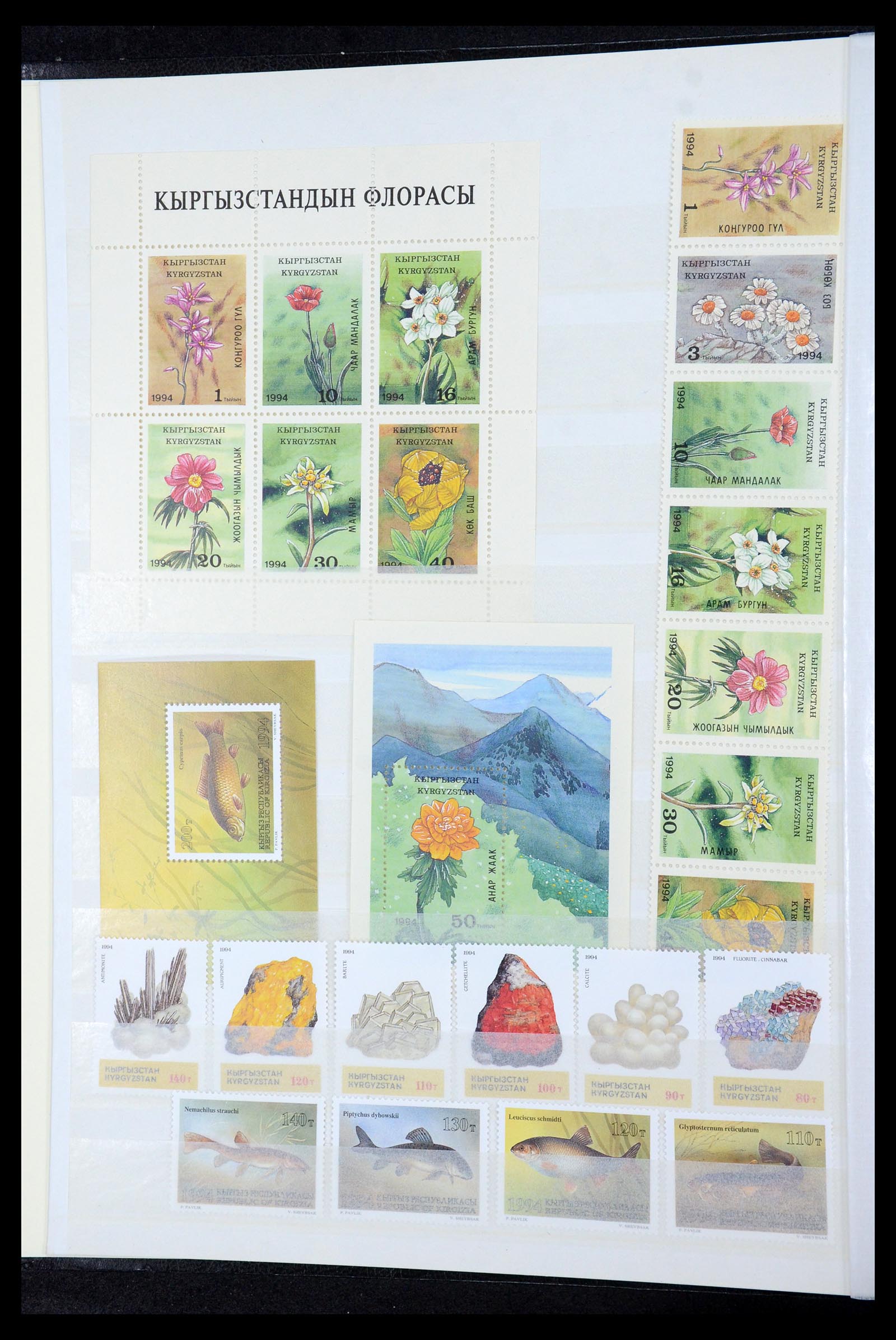 35702 039 - Postzegelverzameling 35702 Oost Europa 1990-2006.