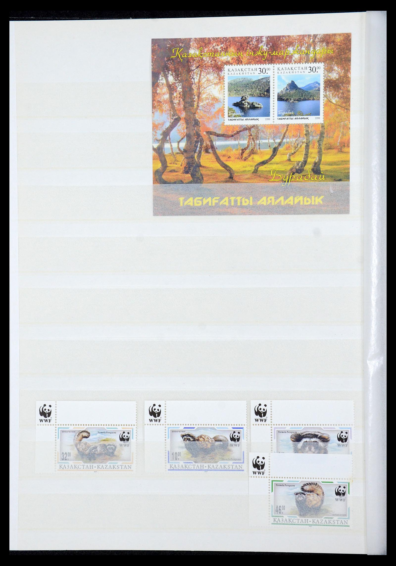 35702 057 - Postzegelverzameling 35702 Oost Europa 1990-2006.