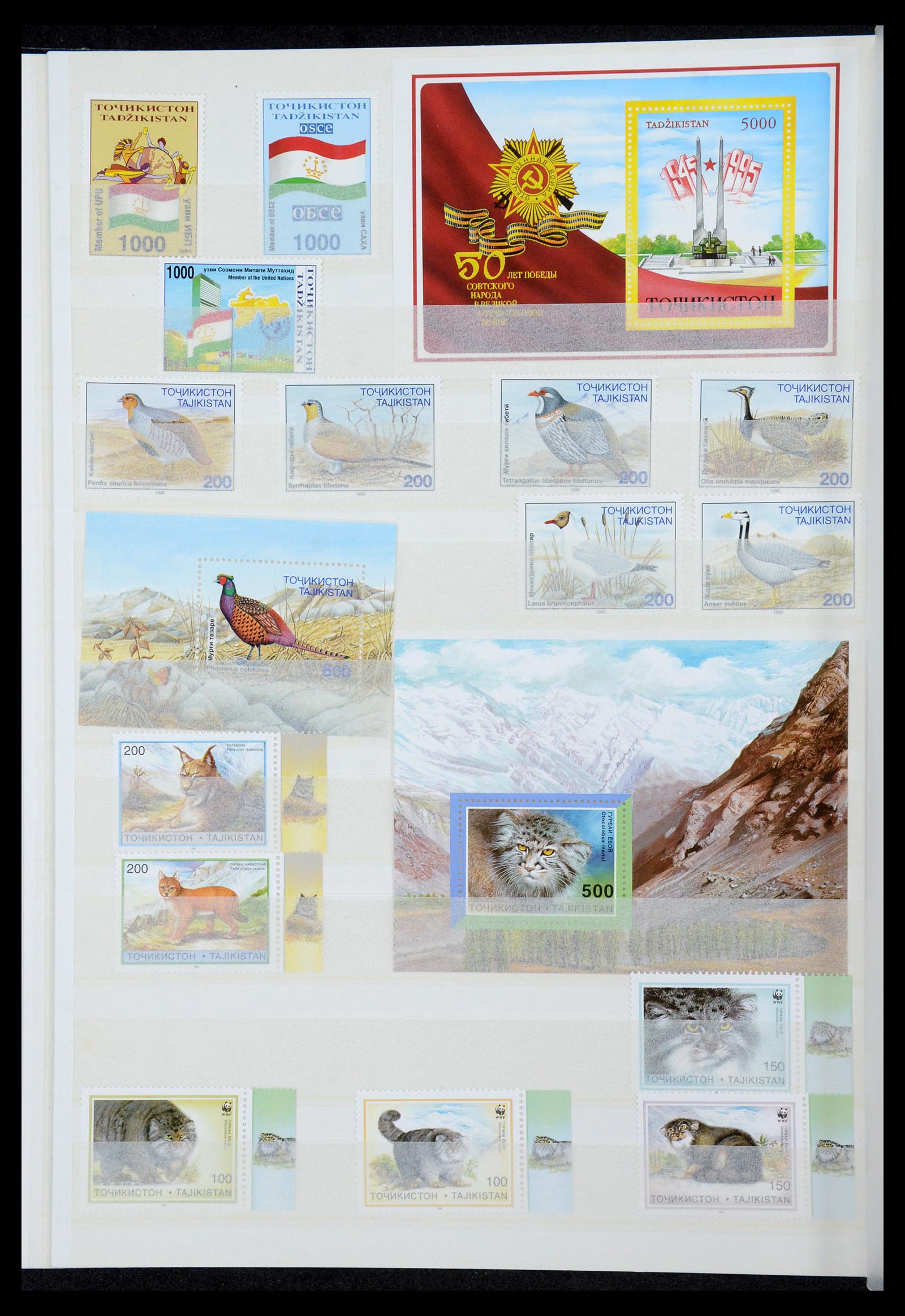 35702 065 - Postzegelverzameling 35702 Oost Europa 1990-2006.