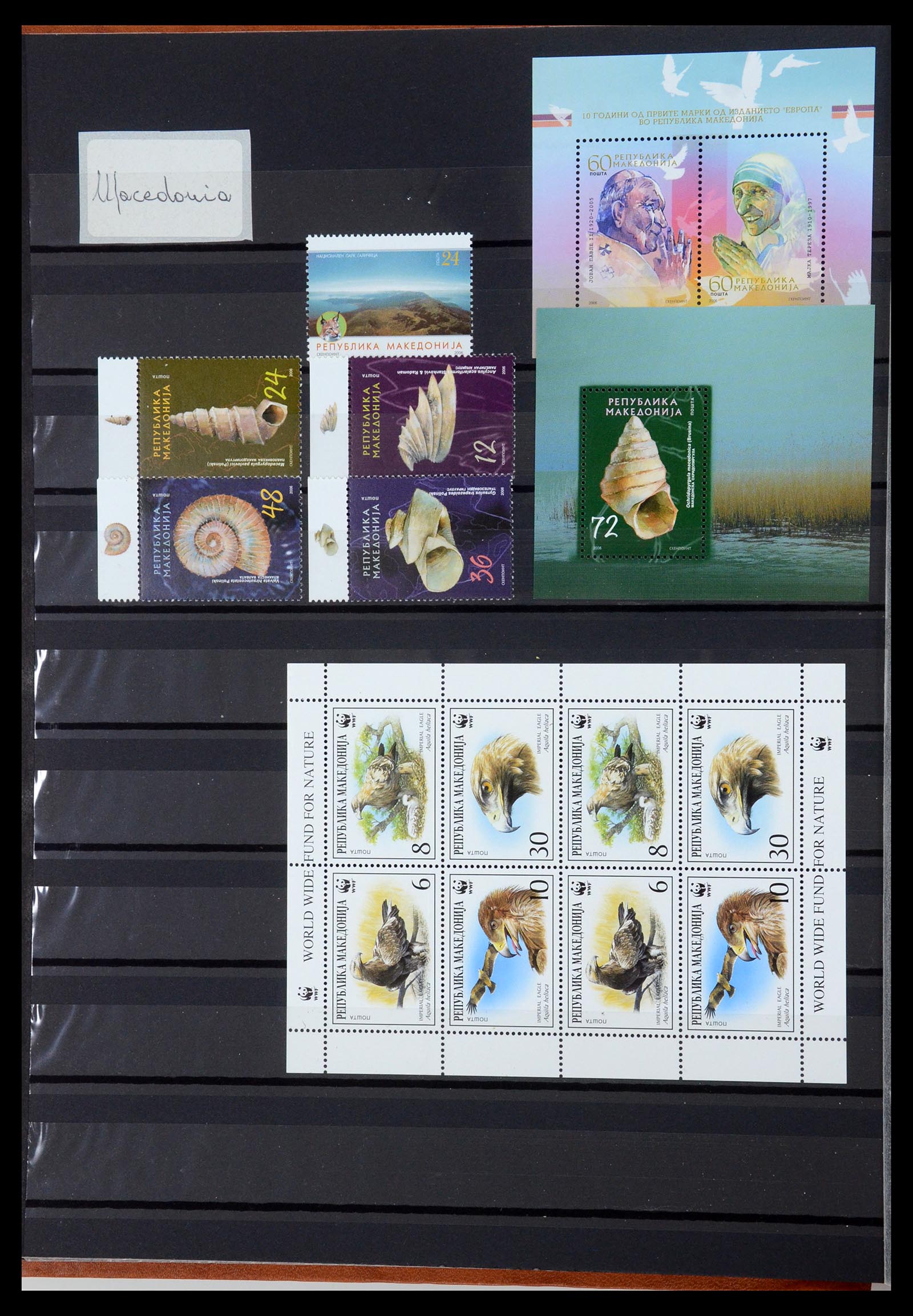 35702 071 - Postzegelverzameling 35702 Oost Europa 1990-2006.