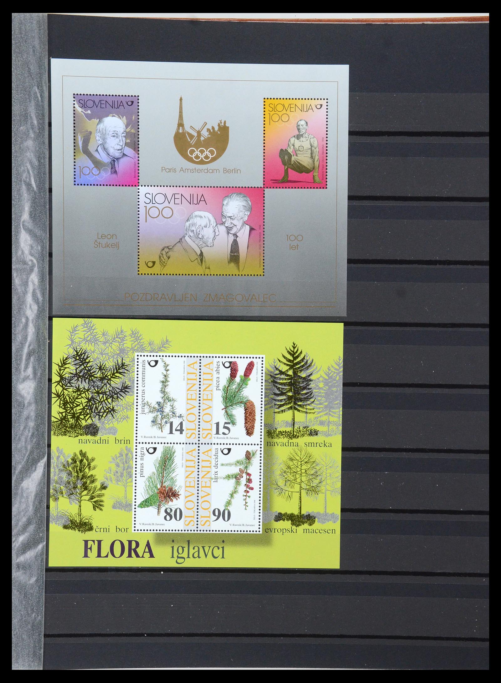 35702 074 - Postzegelverzameling 35702 Oost Europa 1990-2006.
