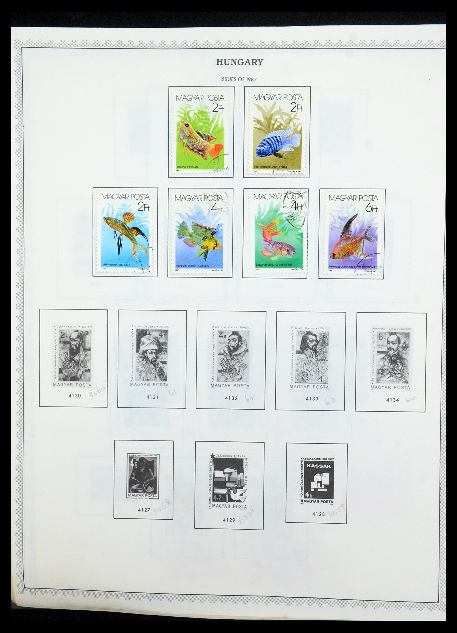35716 646 - Postzegelverzameling 35716 Oost Europa 1870-1990.