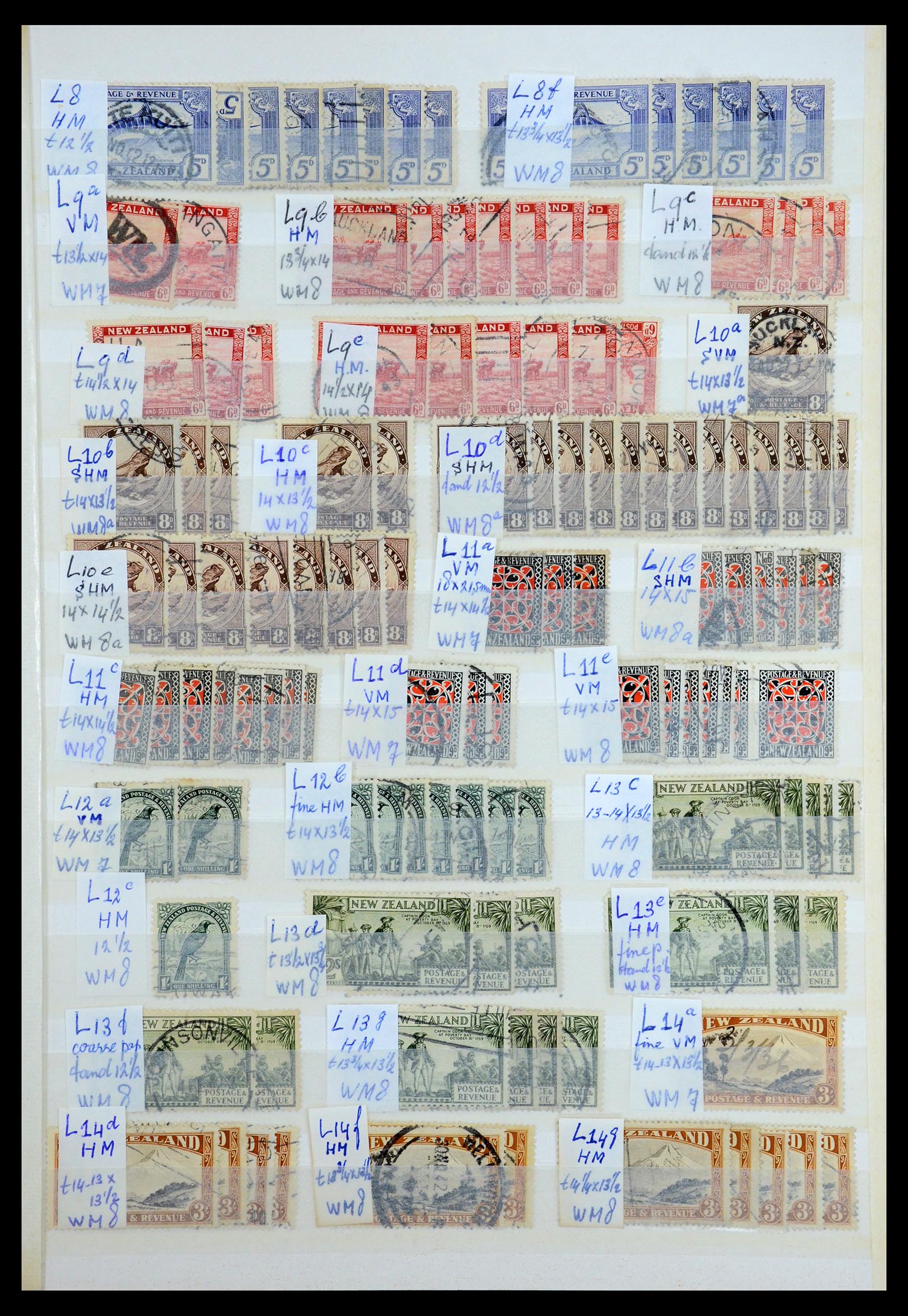 35735 019 - Postzegelverzameling 35735 Nieuw Zeeland 1856-2000.