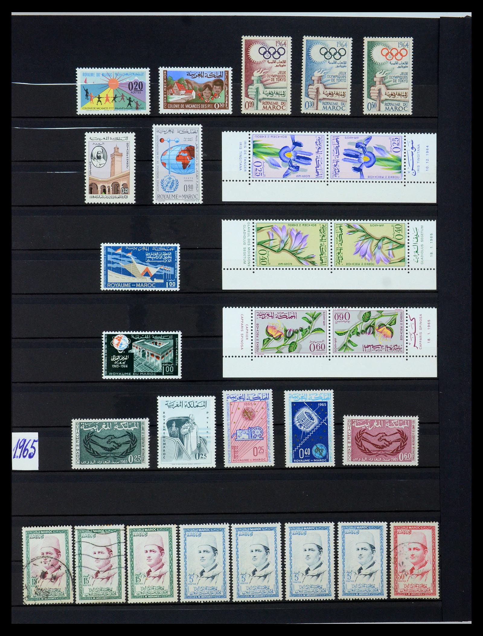 35741 022 - Postzegelverzameling 35741 Marokko 1891-1982.
