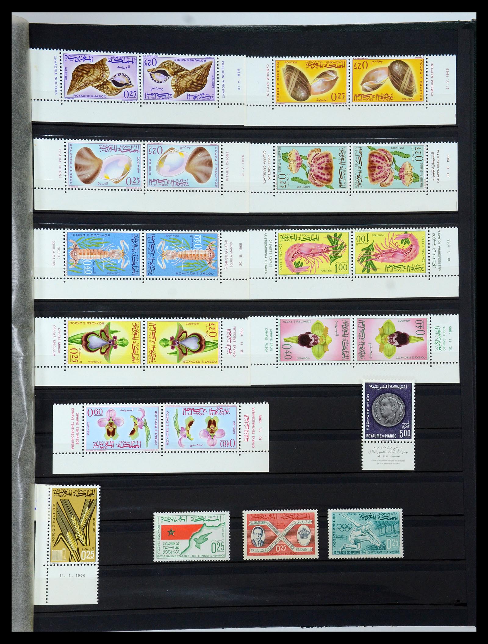35741 023 - Postzegelverzameling 35741 Marokko 1891-1982.