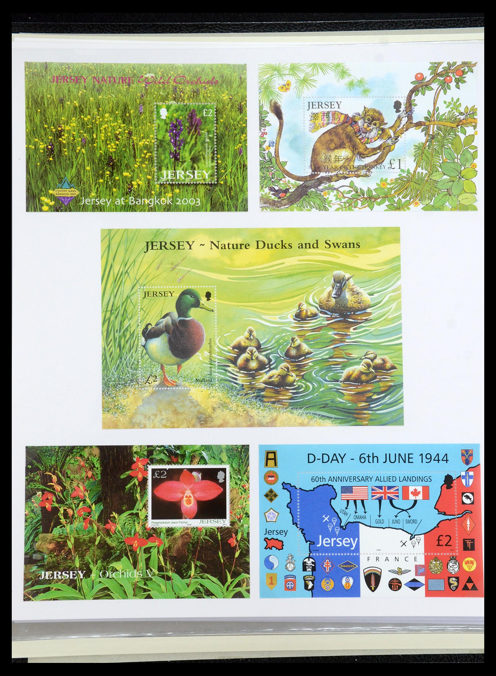 35743 020 - Postzegelverzameling 35743 Jersey 2004-2010.