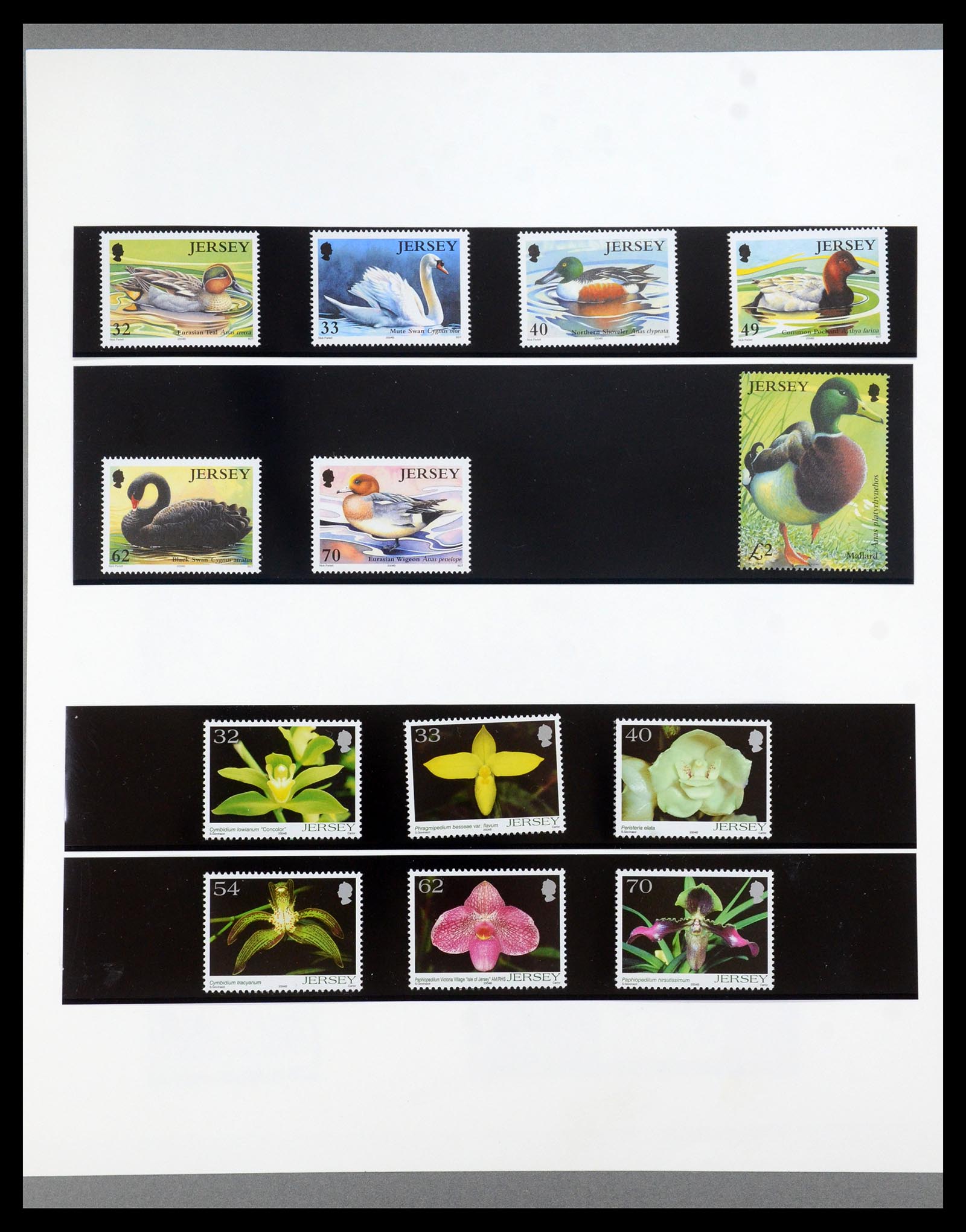 35743 043 - Postzegelverzameling 35743 Jersey 2004-2010.