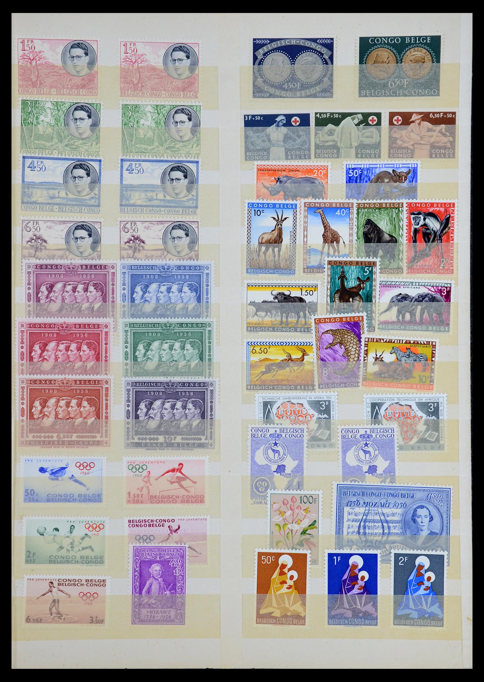35769 016 - Postzegelverzameling 35769 Belgisch Congo 1886-1950.