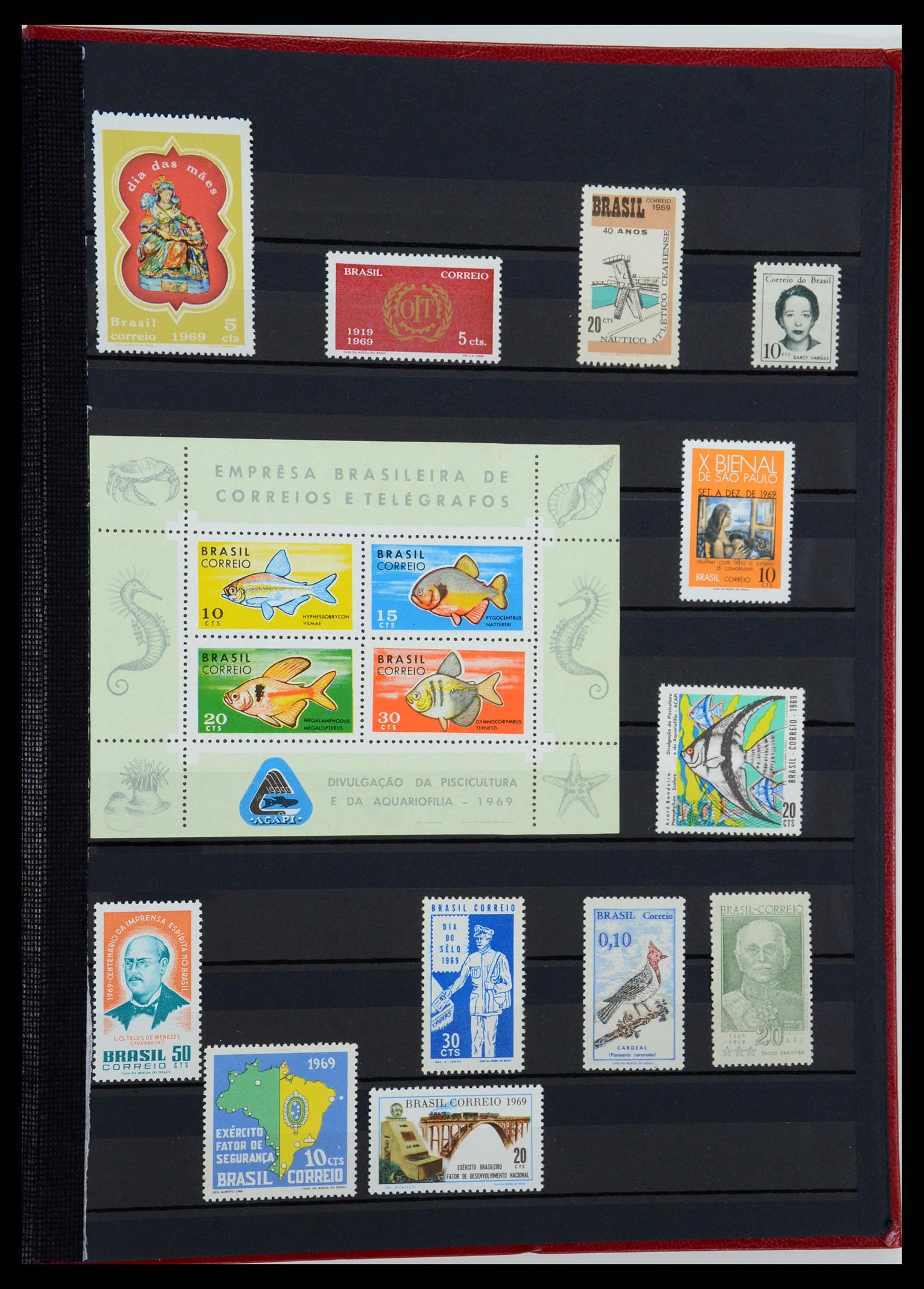 35782 057 - Postzegelverzameling 35782 Brazilië 1843-2008.