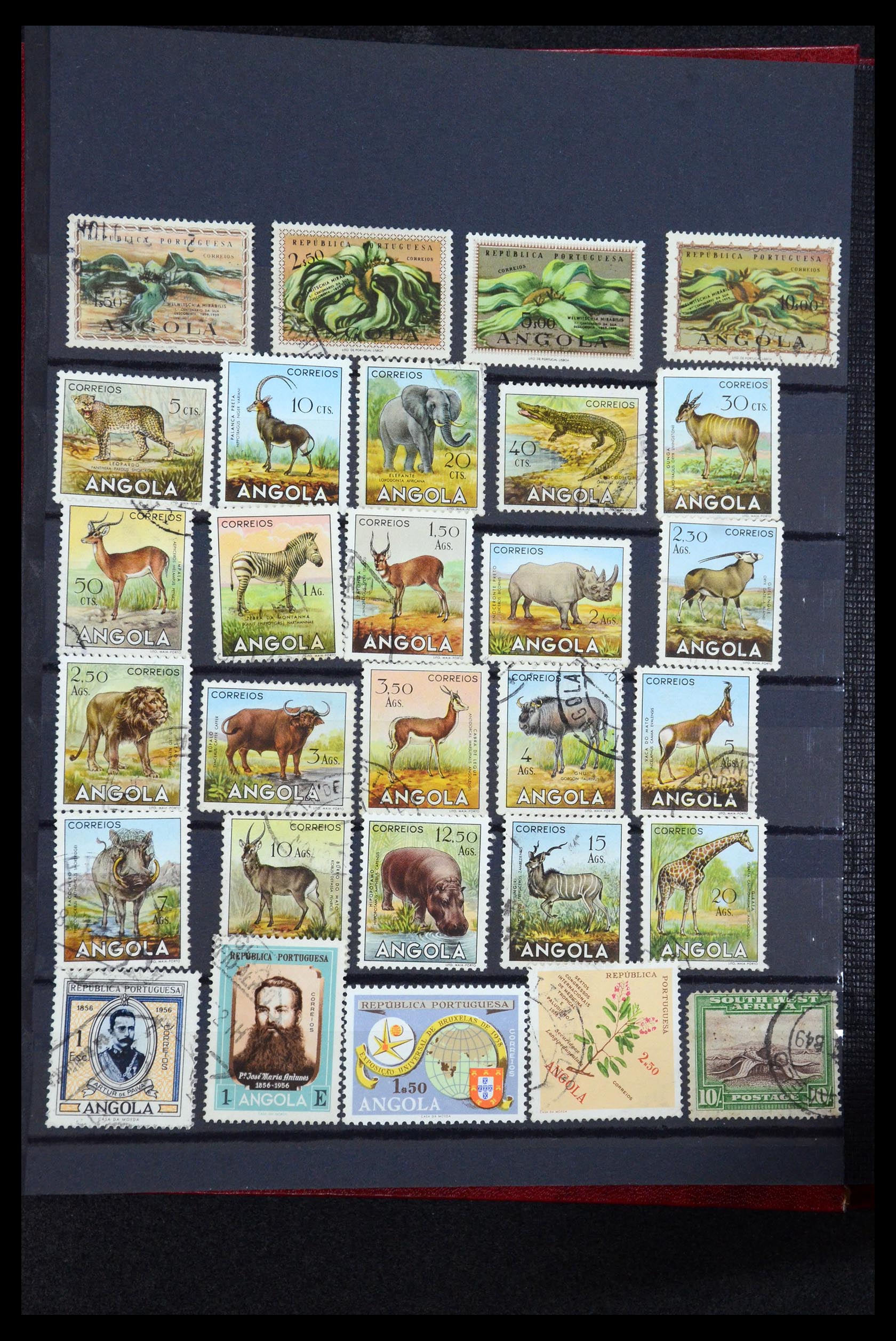 35788 004 - Postzegelverzameling 35788 Portugese koloniën 1886-1971.