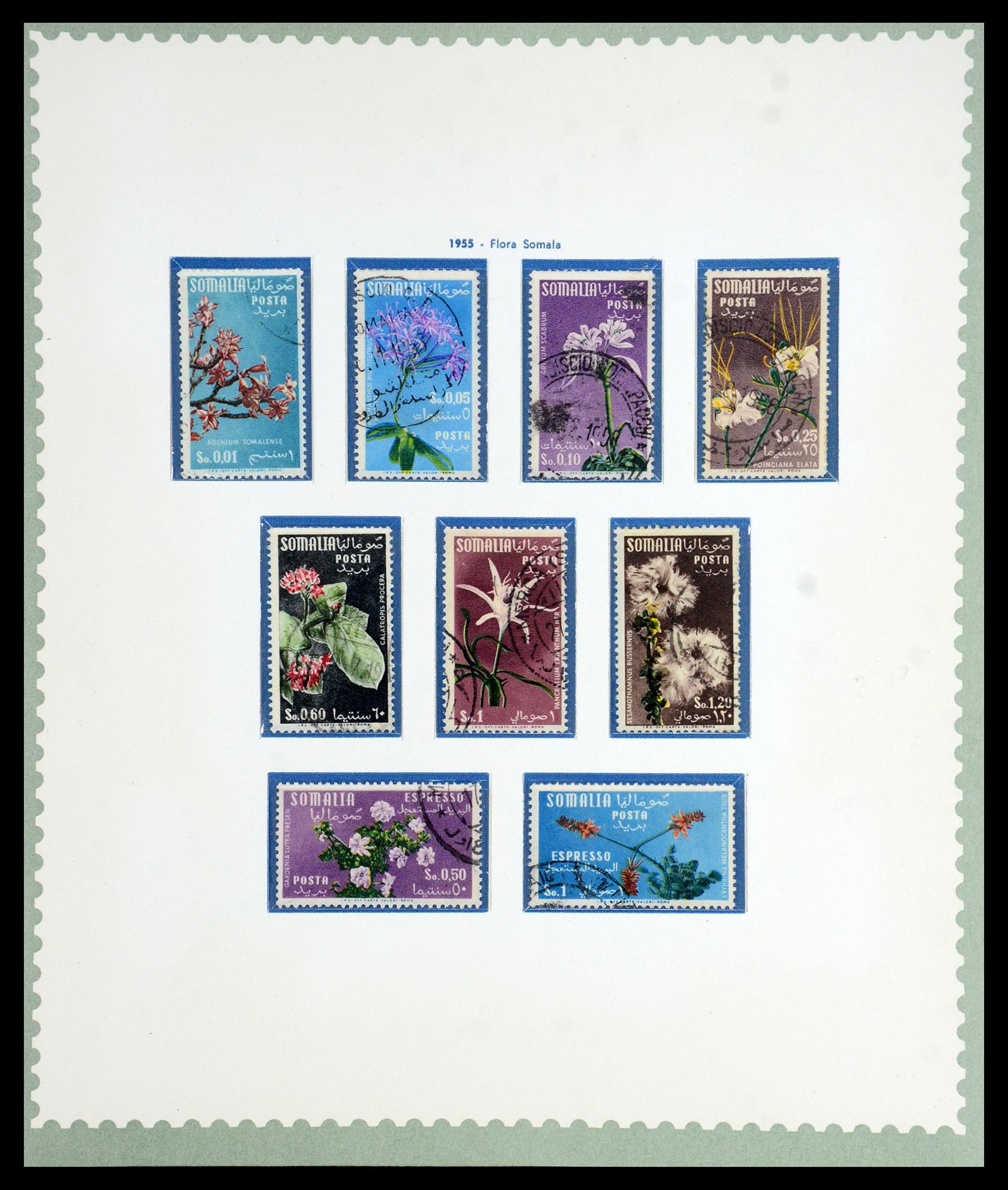 35802 043 - Stamp Collection 35802 Italian Somalia 1903-1960.