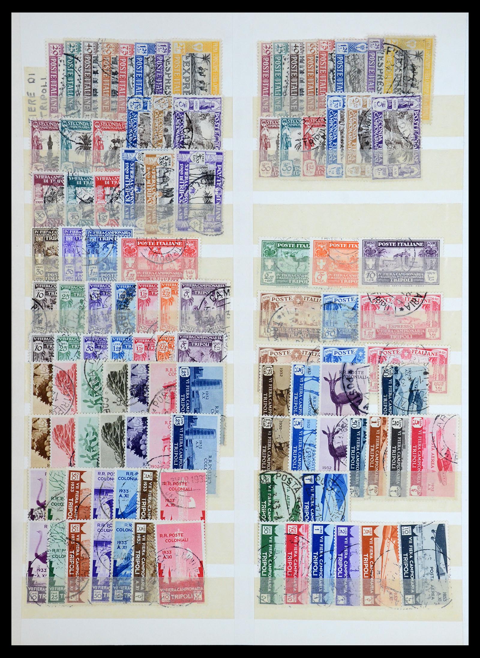 35813 004 - Postzegelverzameling 35813 Libië 1912-1966.