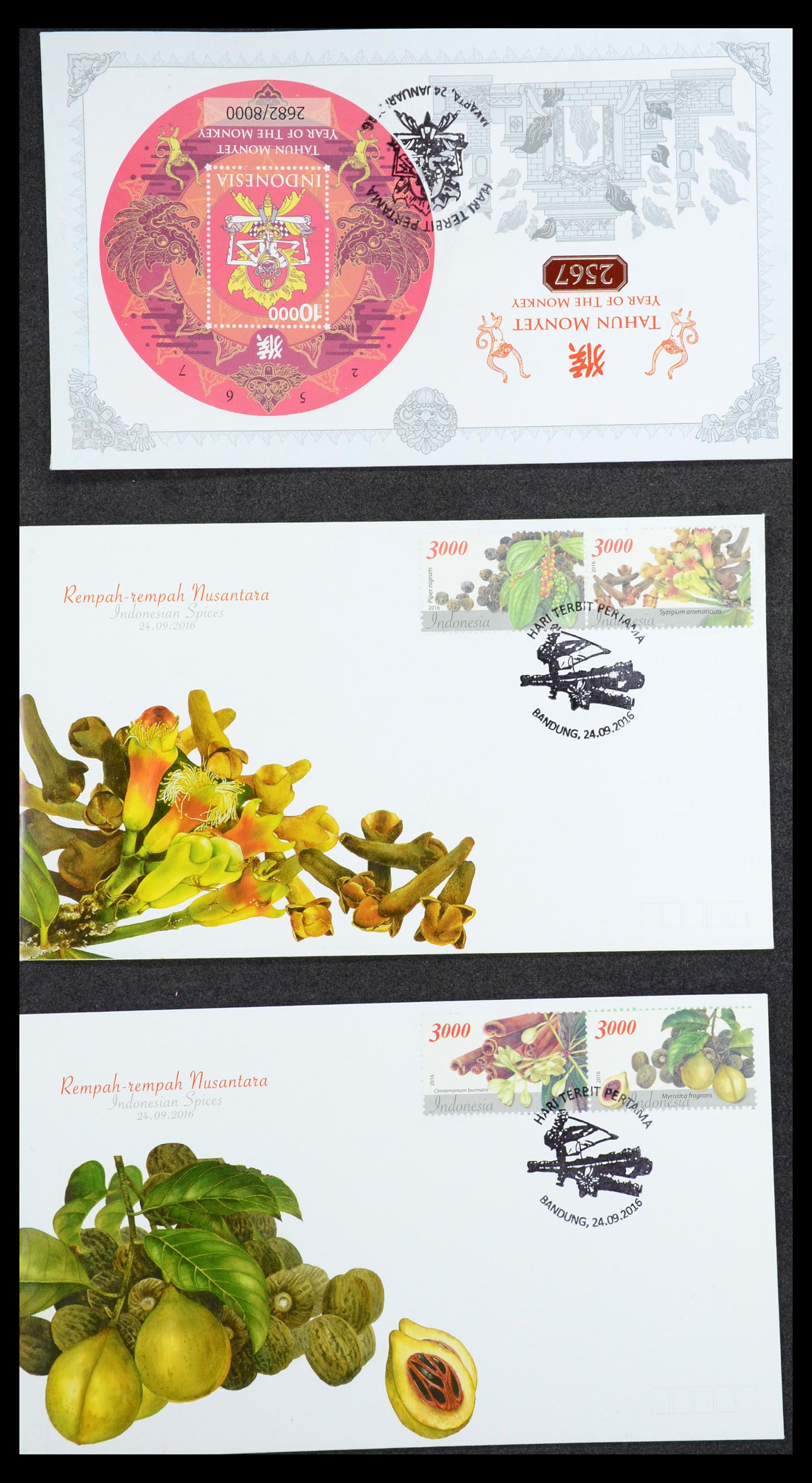 35822 161 - Stamp Collection 35822 Indonesia FDC's 1955-2016.