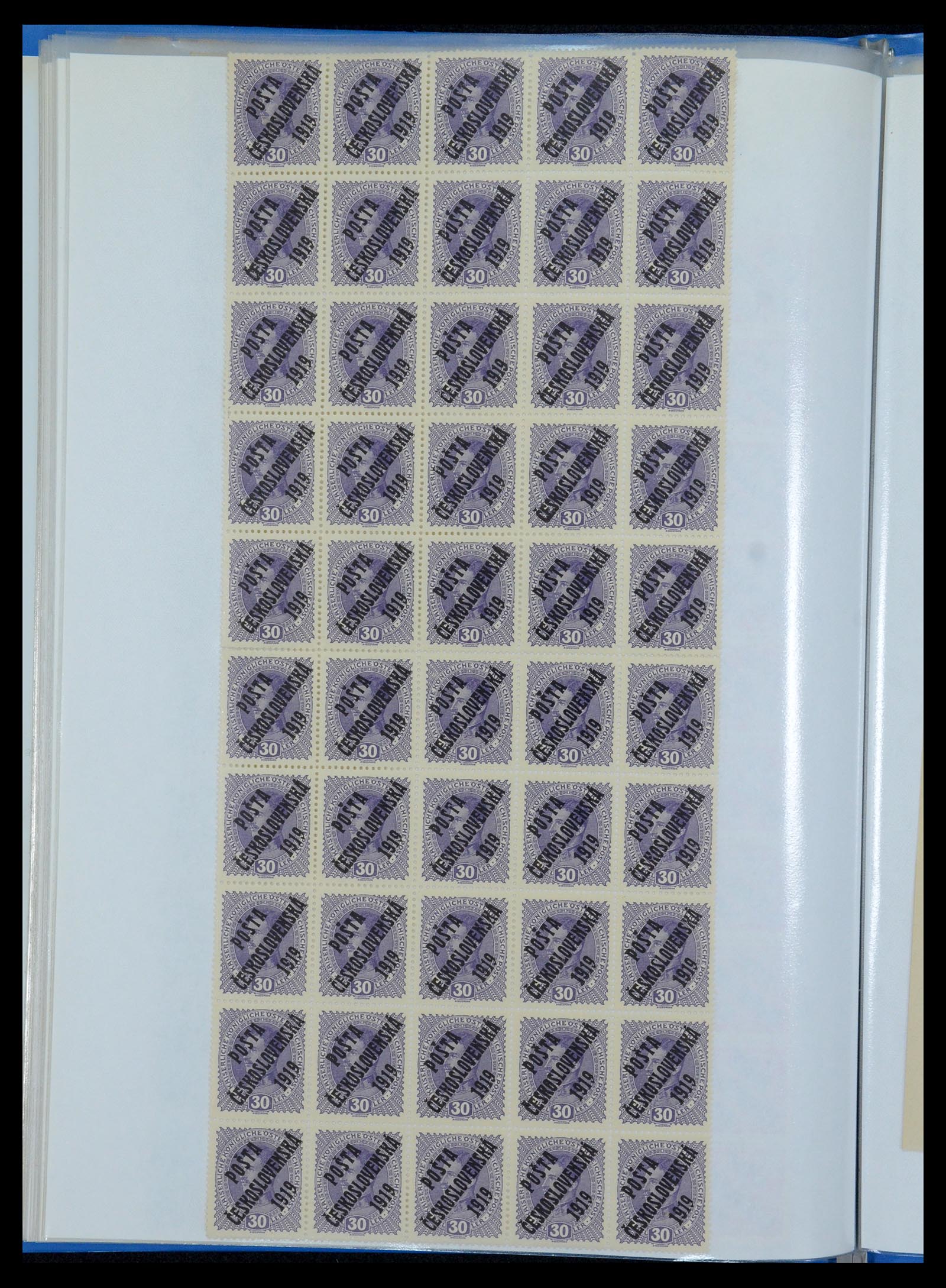 35826 032 - Stamp Collection 35826 Czechoslovakia 1919.