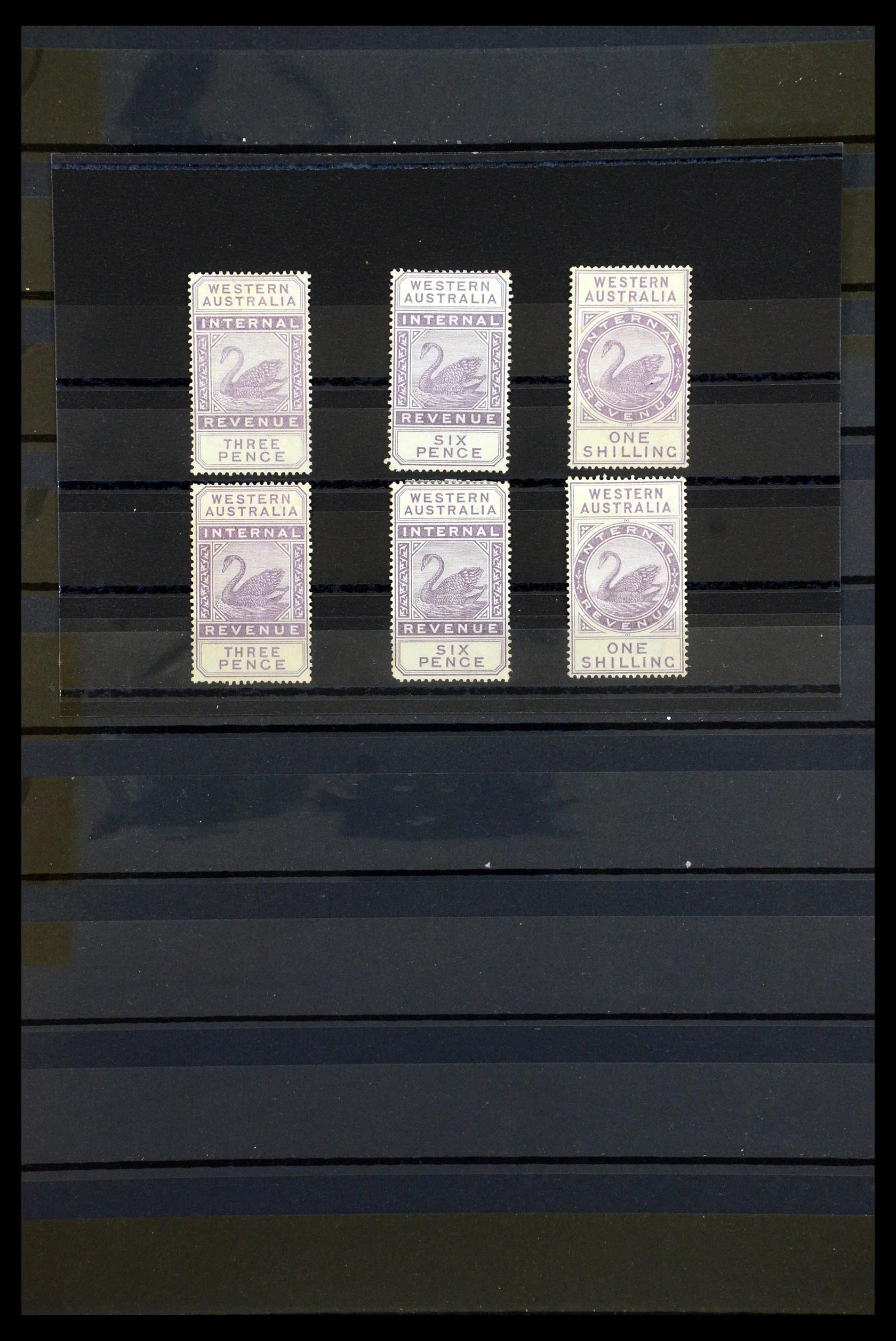 35832 001 - Postzegelverzameling 35832 West Australië 1893. 35832 001 - Postzegelverzameling 35832 West Australië 1893.