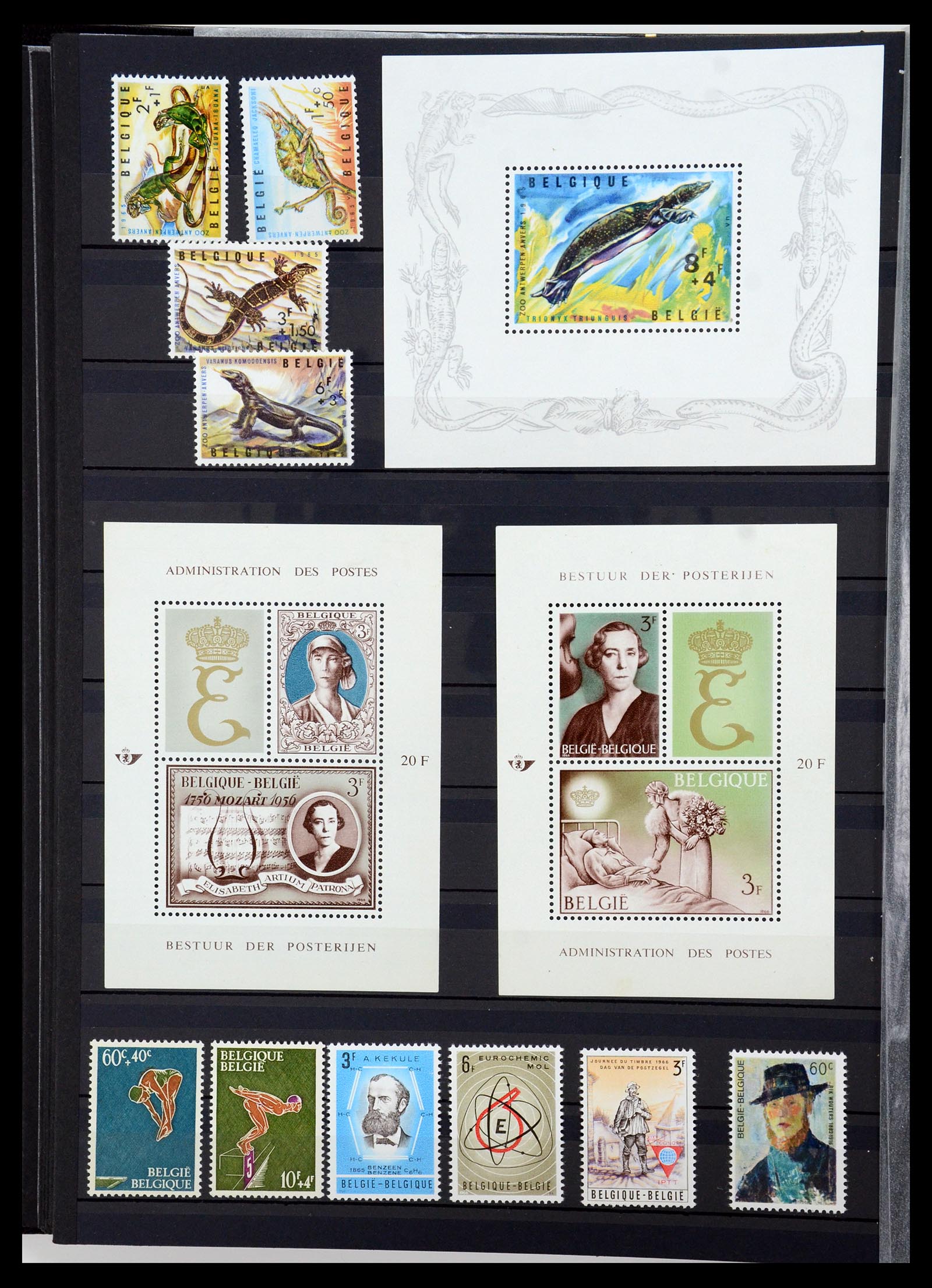 35847 038 - Stamp Collection 35847 Belgium 1849-1974.