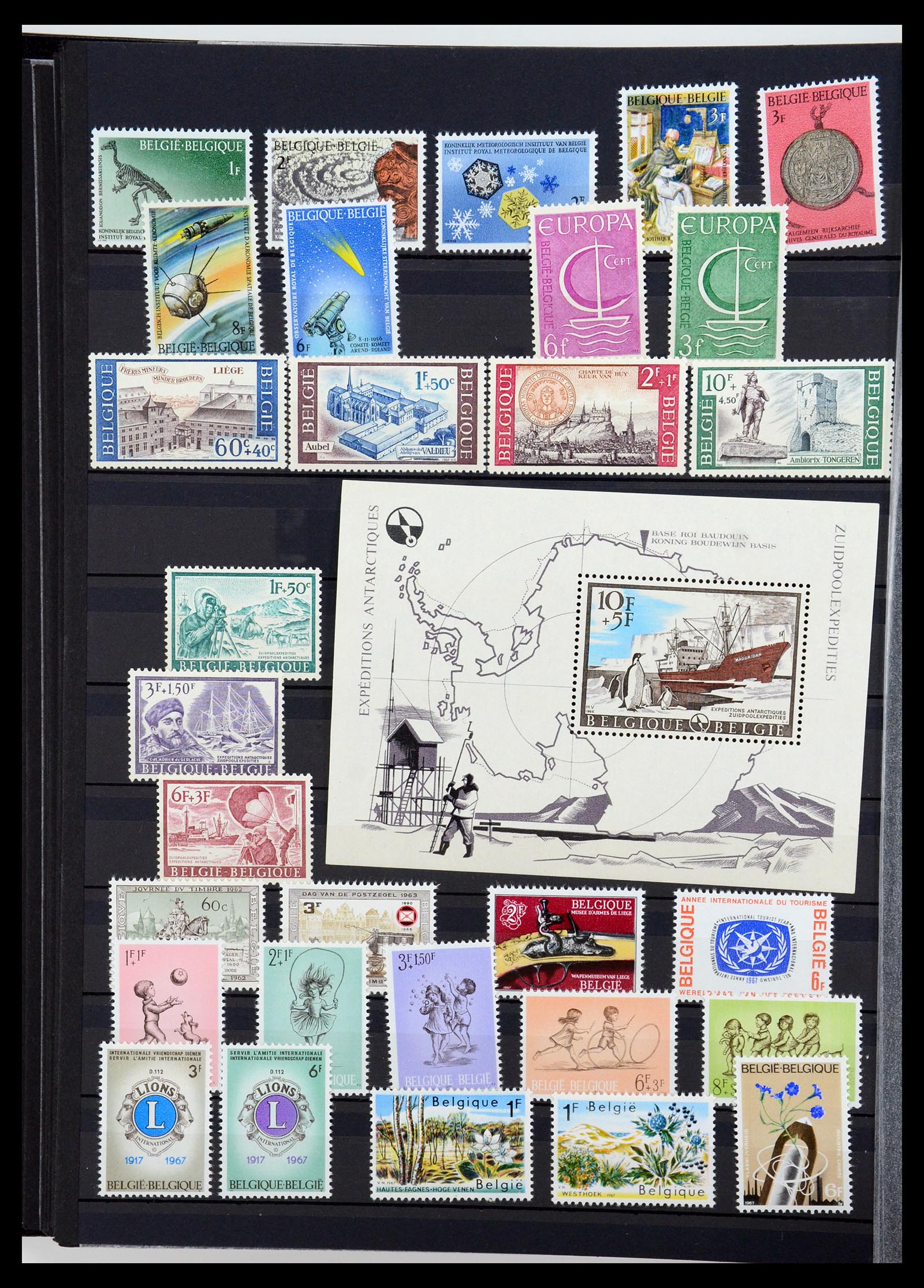 35847 039 - Stamp Collection 35847 Belgium 1849-1974.