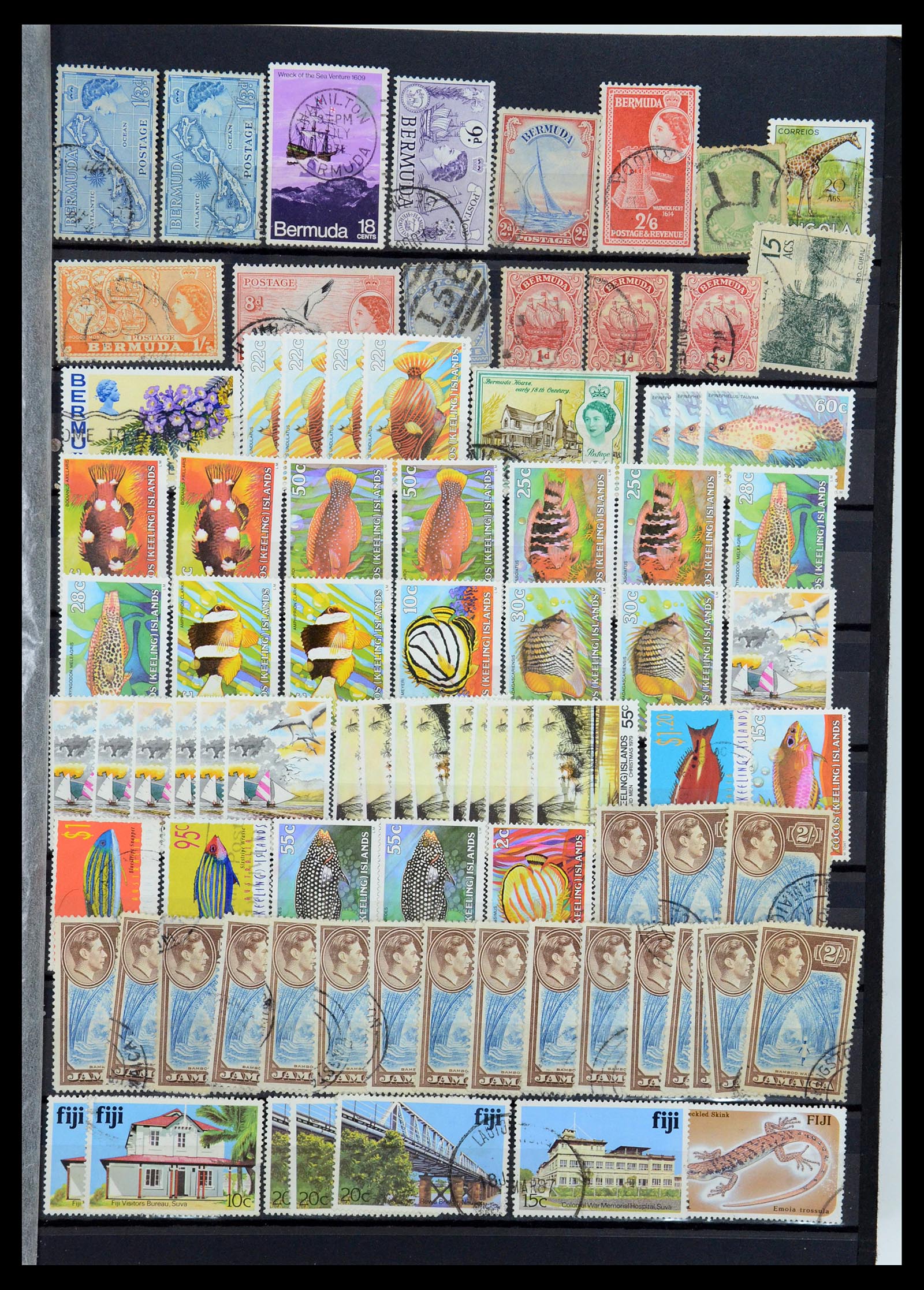 35882 059 - Postzegelverzameling 35882 Wereld uitzoekpartij 1850-1955.