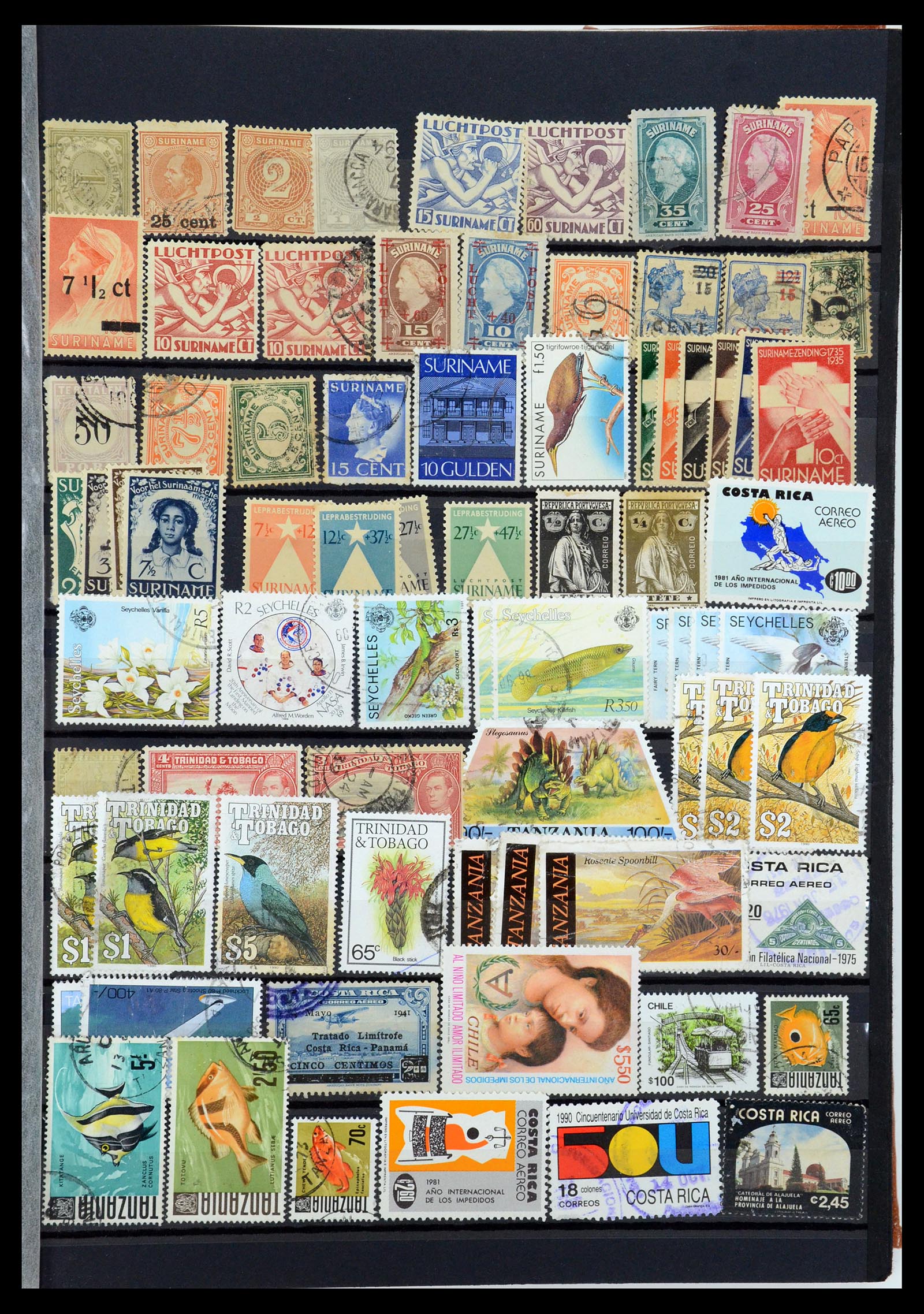 35882 079 - Postzegelverzameling 35882 Wereld uitzoekpartij 1850-1955.