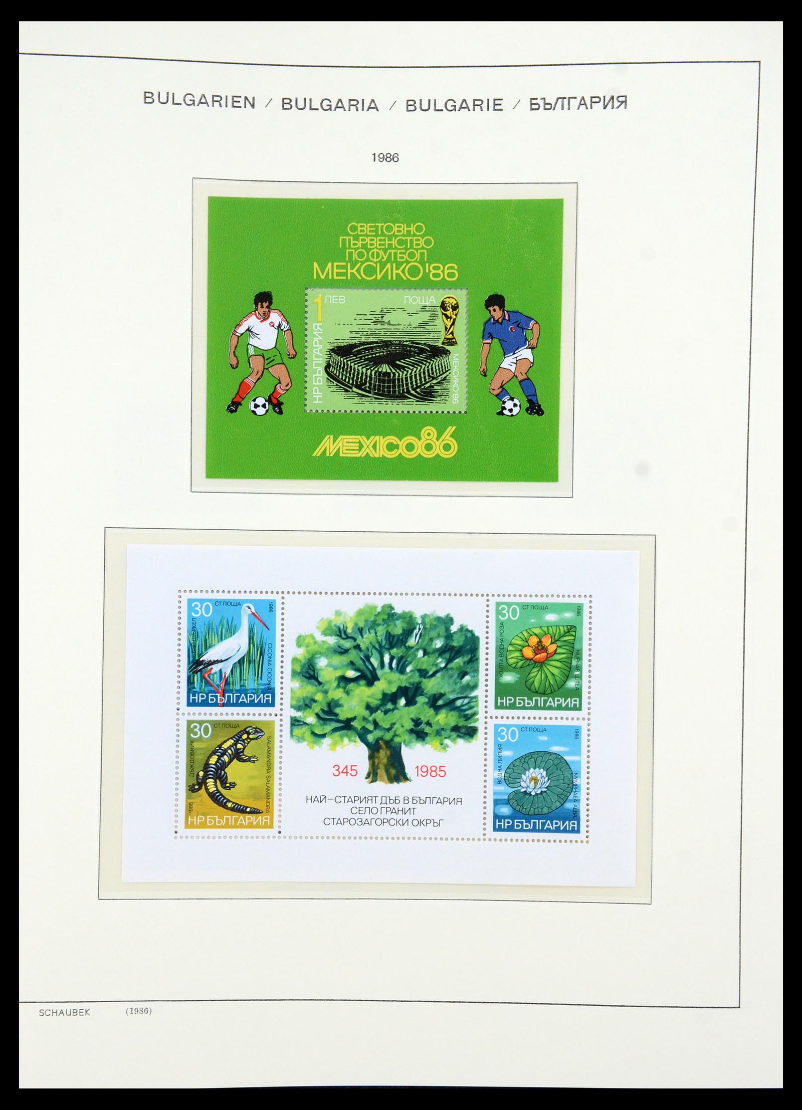 35891 377 - Postzegelverzameling 35891 Bulgarije 1945-1989.