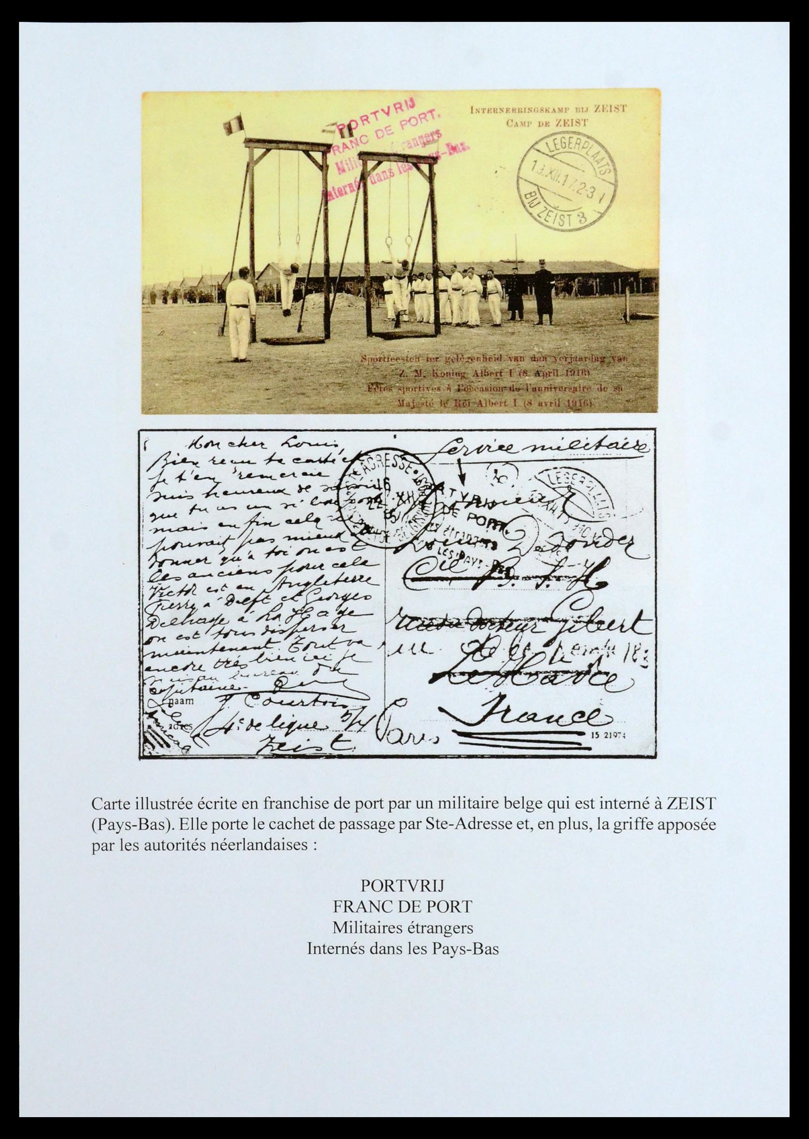 35903 042 - Stamp Collection 35903 Belgium 1914-1918.