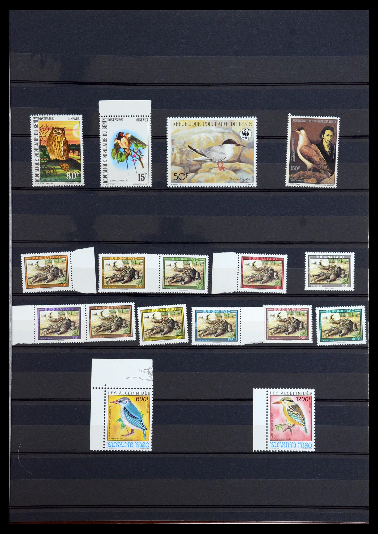 35924 002 - Postzegelverzameling 35924 Motief Dieren 1950-1993.