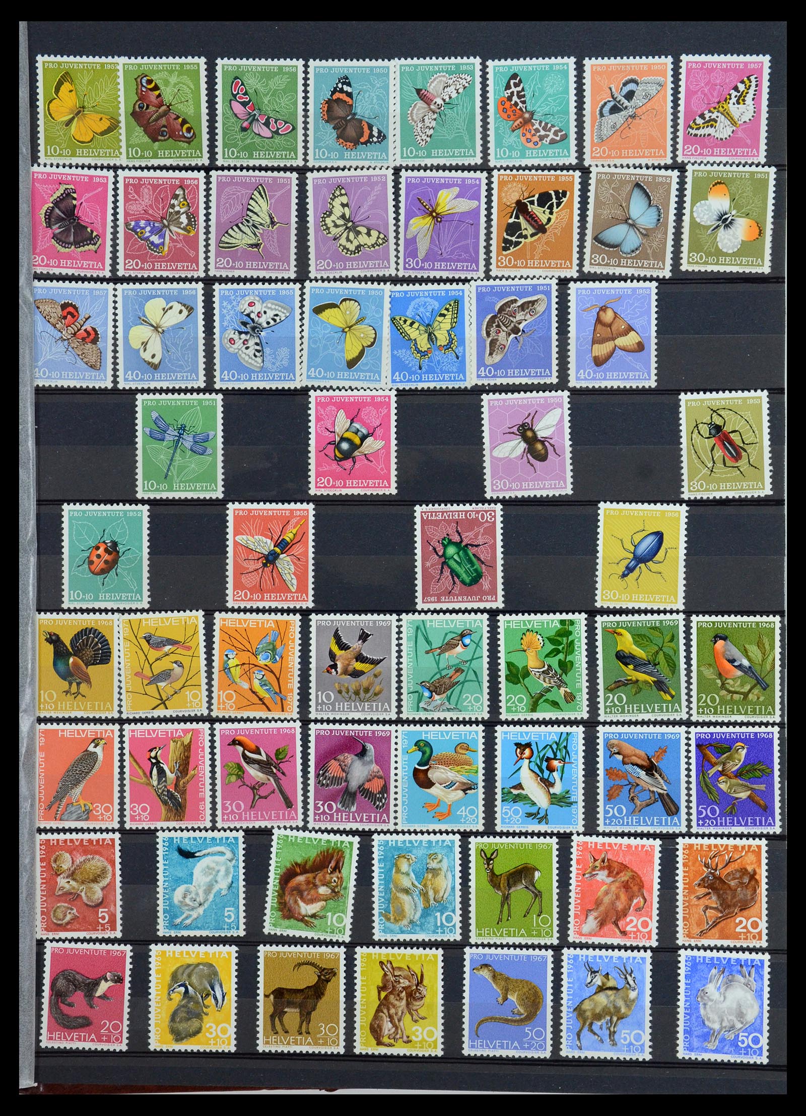 35924 008 - Postzegelverzameling 35924 Motief Dieren 1950-1993.
