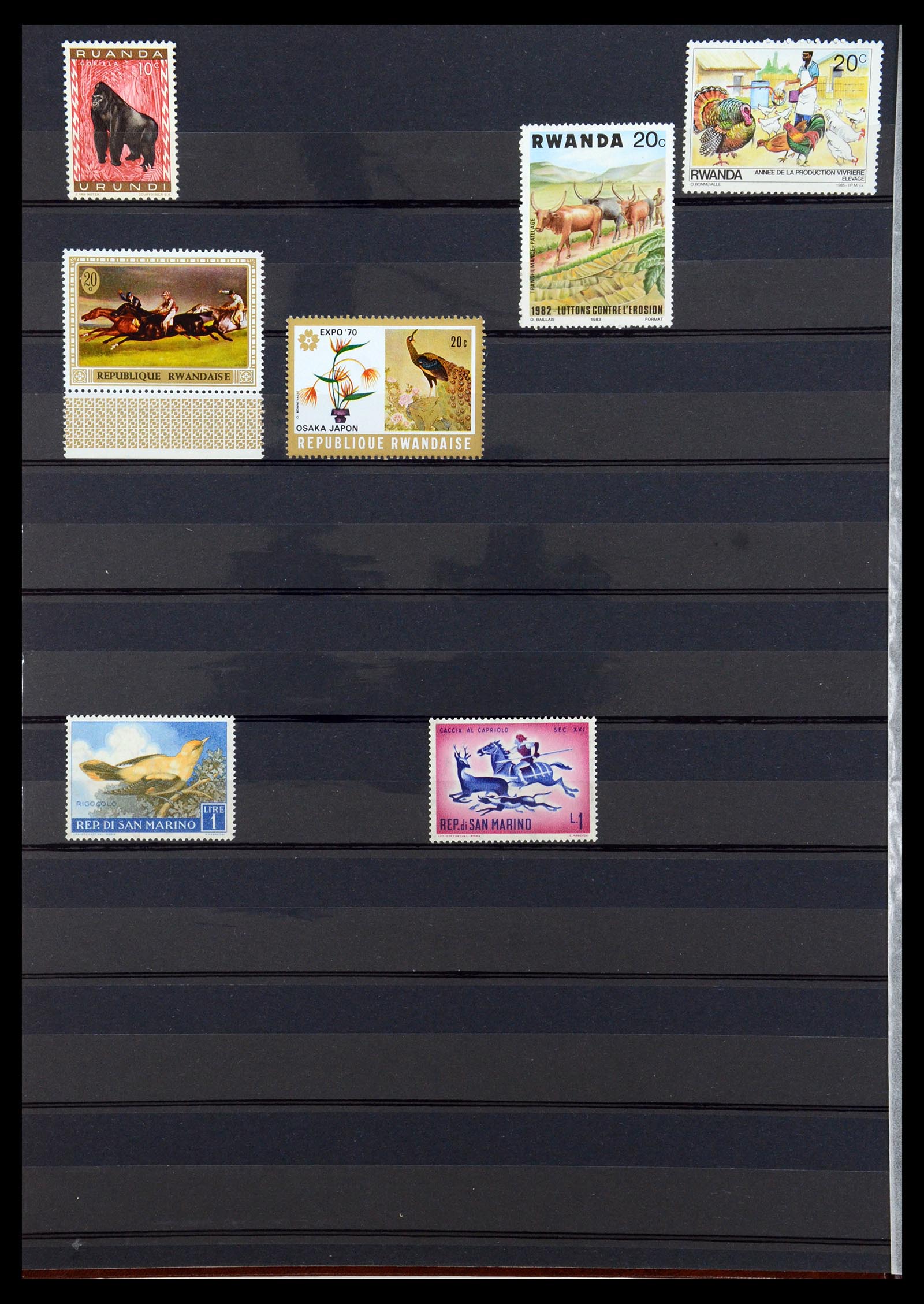 35924 016 - Postzegelverzameling 35924 Motief Dieren 1950-1993.