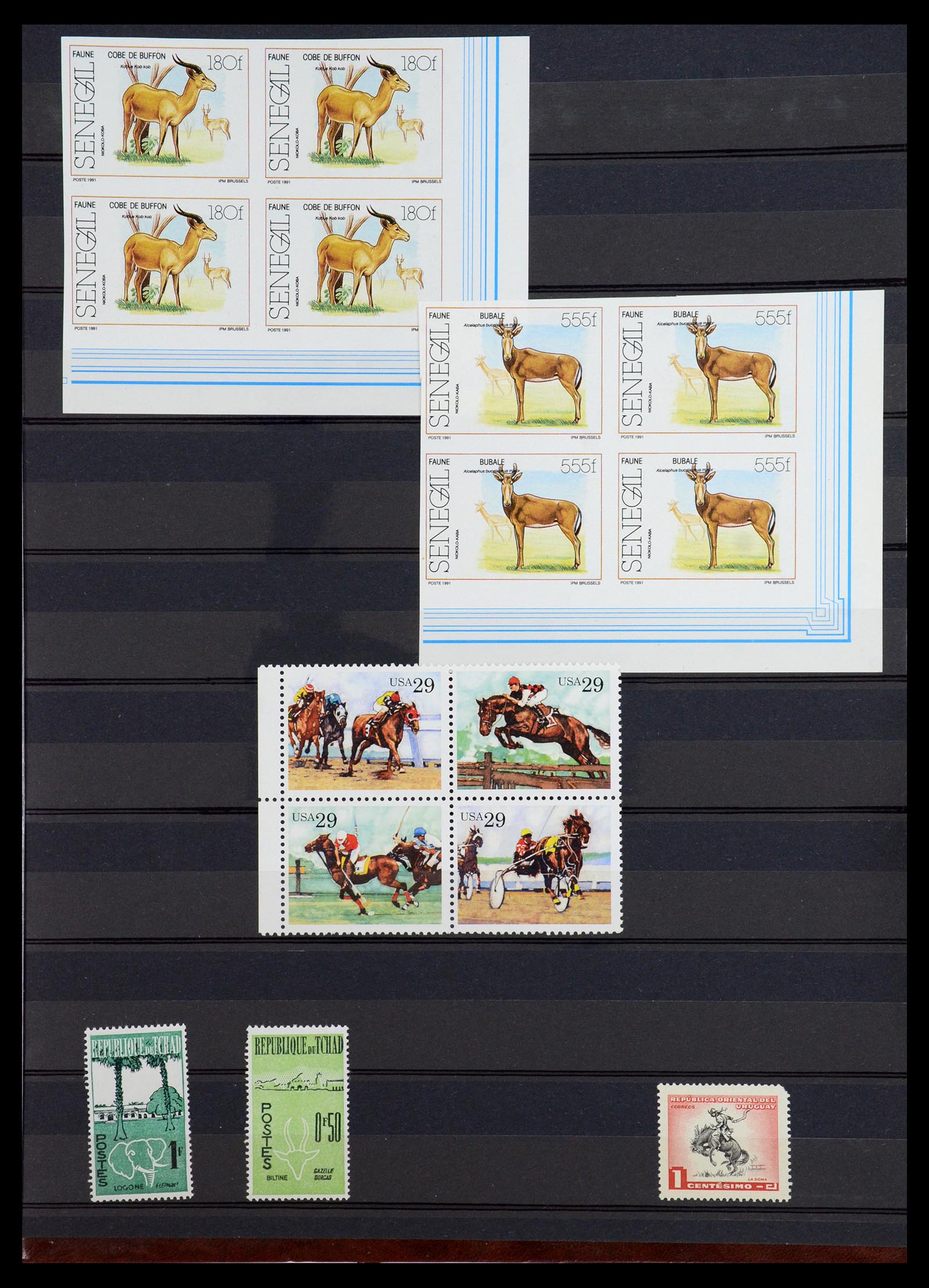 35924 019 - Postzegelverzameling 35924 Motief Dieren 1950-1993.