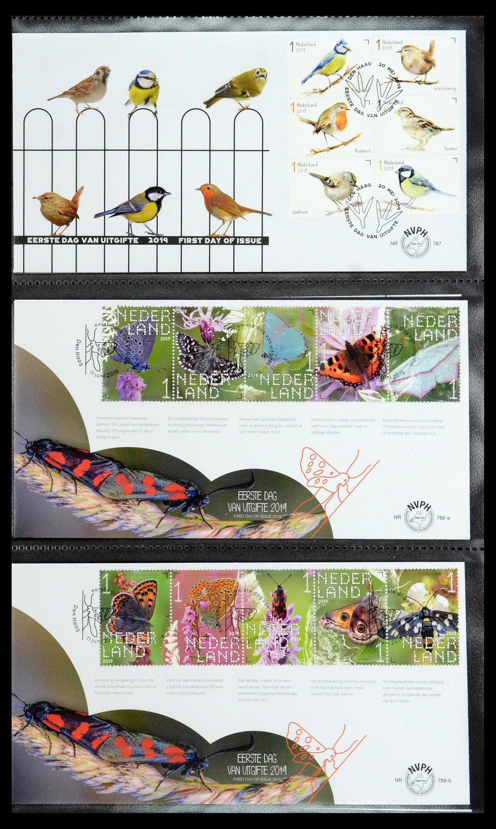 35946 168 - Stamp Collection 35946 Netherlands FDC's 2000-2019.