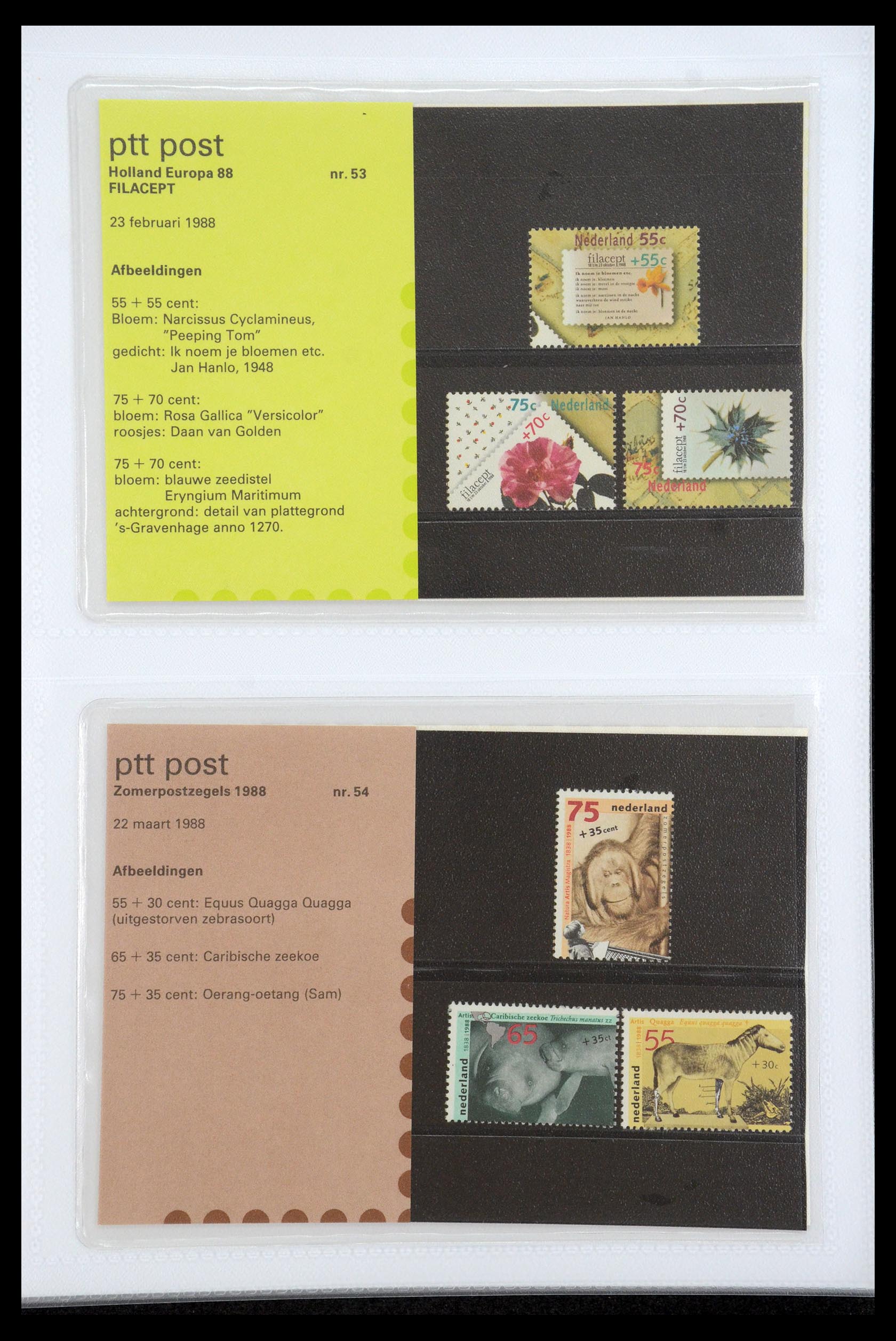 35947 027 - Stamp Collection 35947 Netherlands PTT presentation packs 1982-2019!